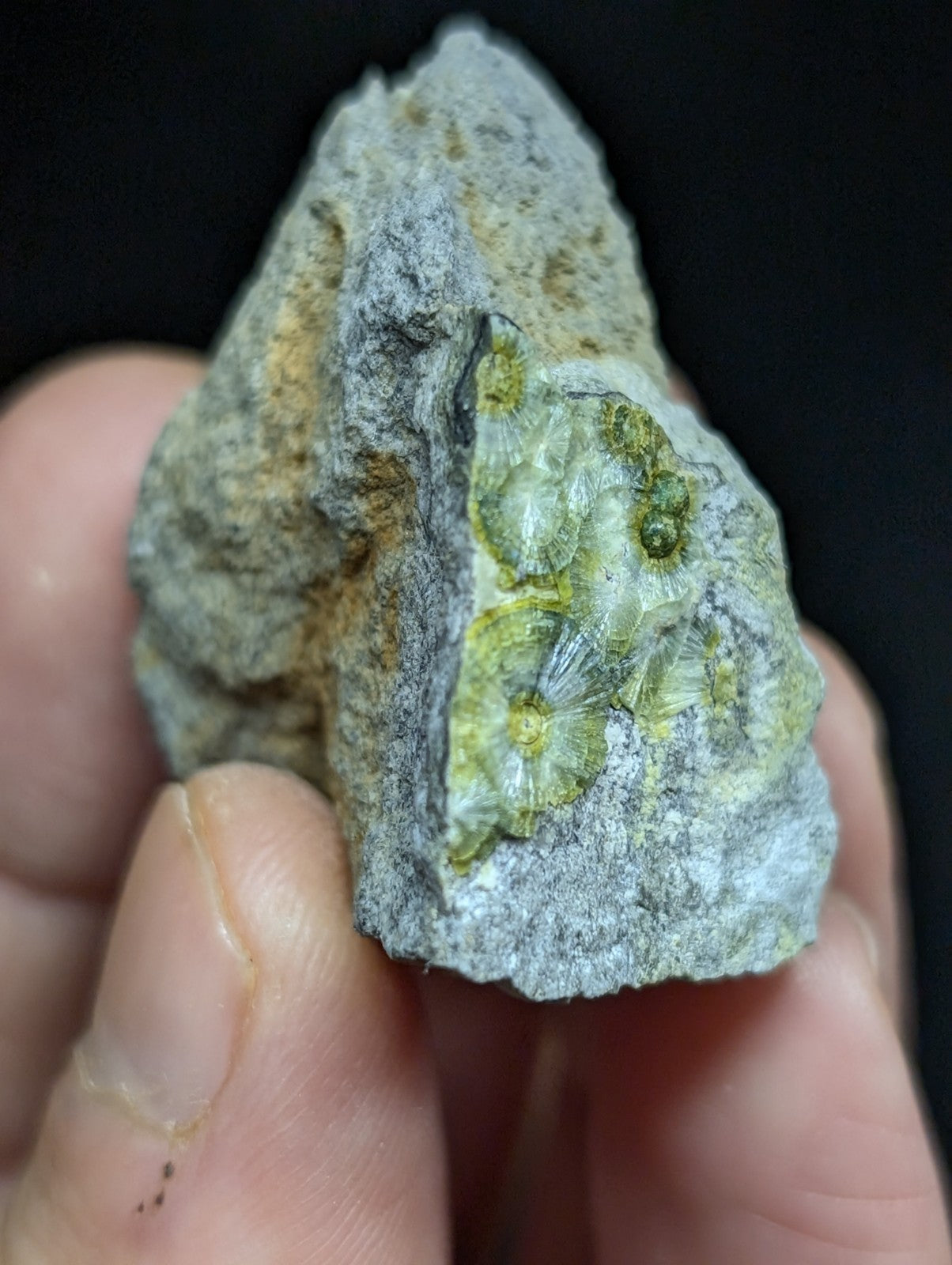 A hand holds a gray rock specimen featuring translucent green and yellow crystalline formations with intricate, flower-like patterns.