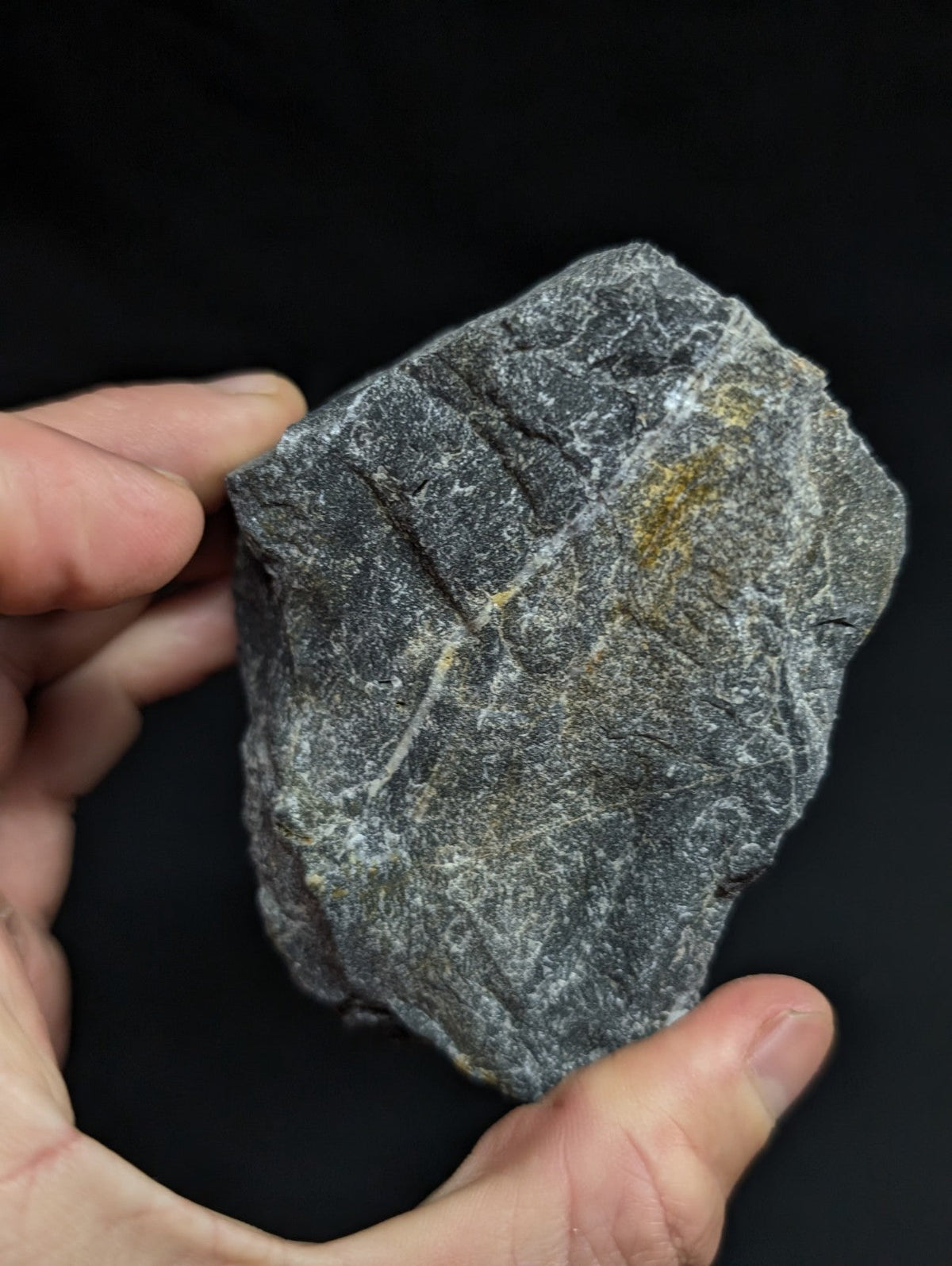 A rugged, dark gray rock with subtle white veining and a small patch of yellowish mineral streaks.