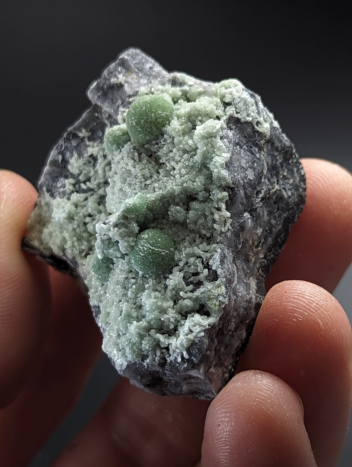 A hand holds a dark gray rock specimen featuring light green, rounded mineral formations with a textured, crystalline surface.
