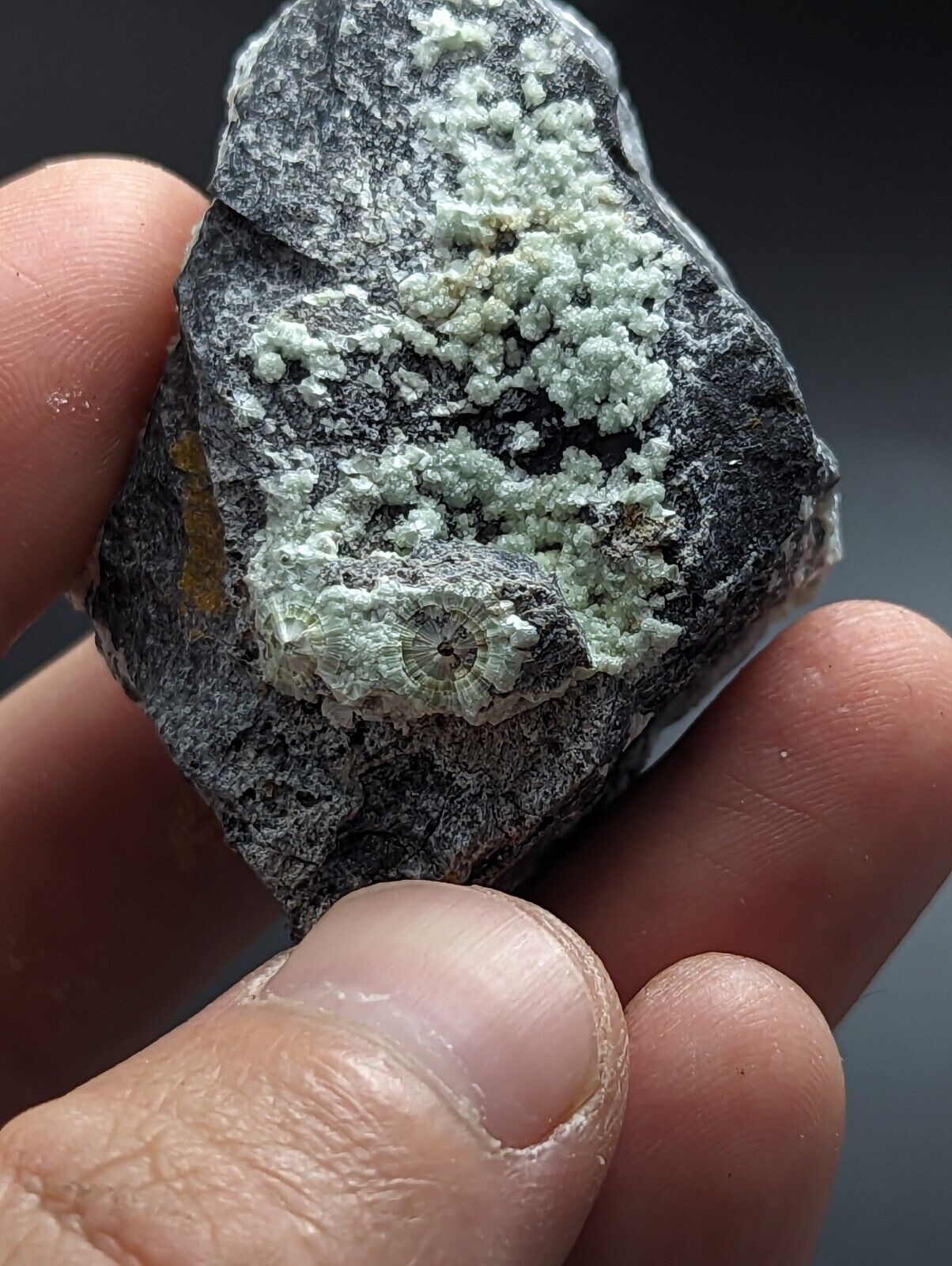 UV Reactive Wavellite - Fantastic Old Stock - Mauldin Mountain Arkansas Rare - Collectibles:Rocks Fossils &