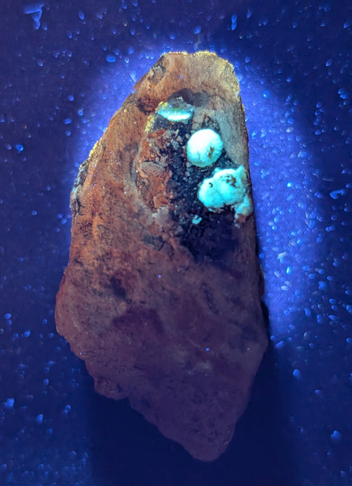 A rough, rust-colored rock with three vibrant turquoise gemstones embedded in its surface.