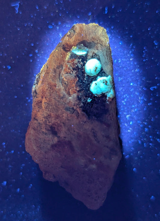 A rough, rust-colored rock with three vibrant turquoise gemstones embedded in its surface.