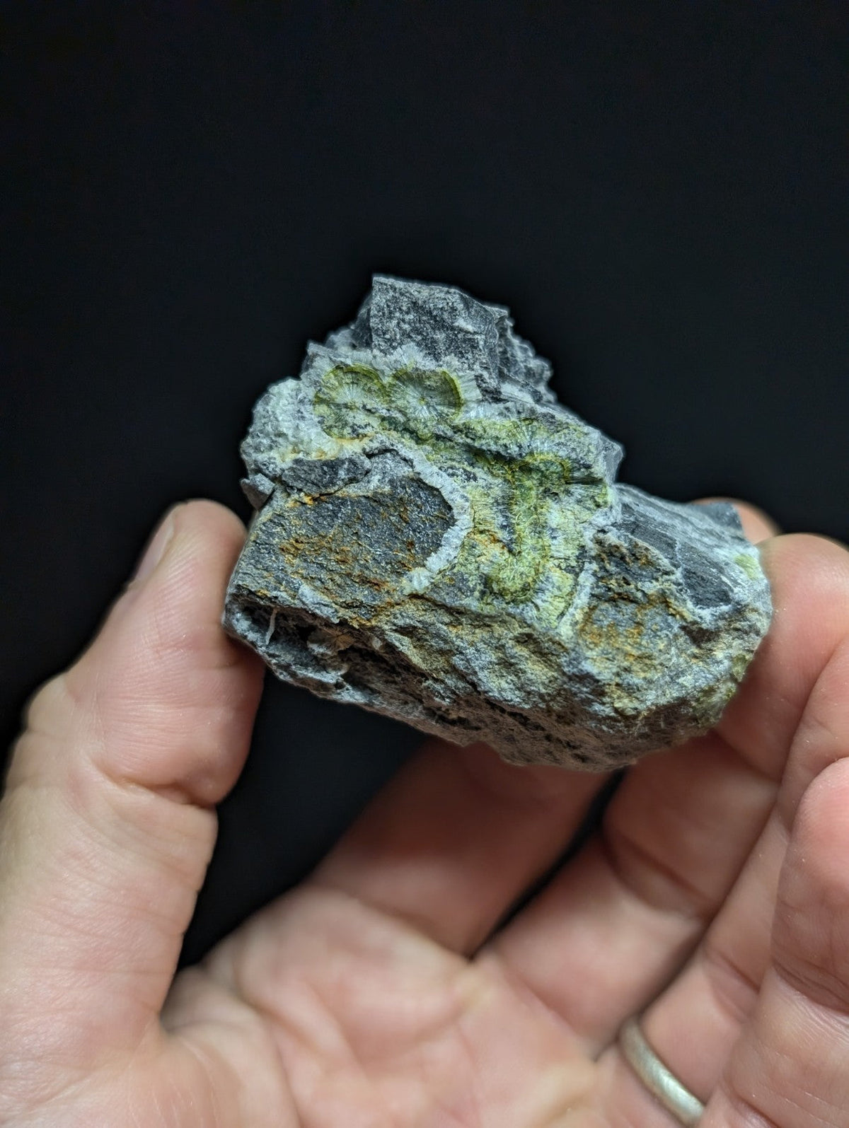 A rugged, irregularly shaped rock with a mottled surface of gray and vibrant green mineral veins.