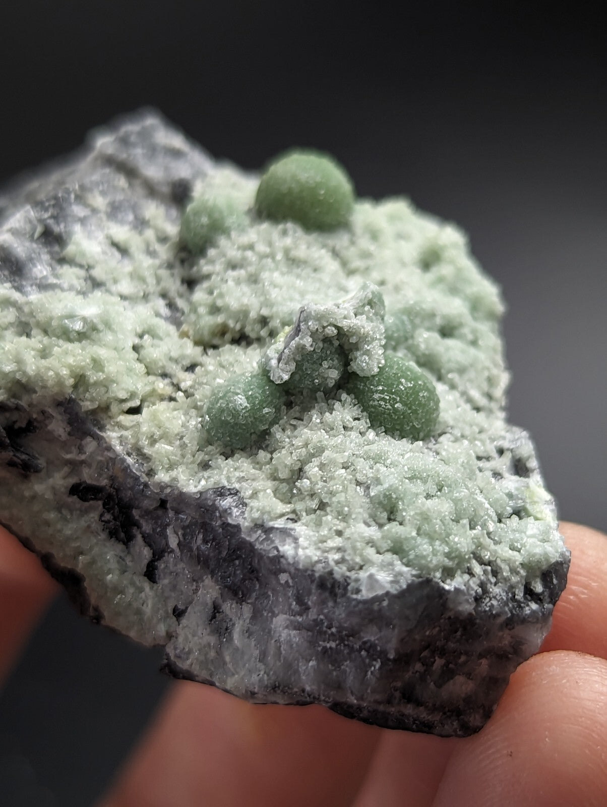 A hand holds a rough, dark gray rock specimen featuring clusters of light green, spherical crystals growing from its surface.