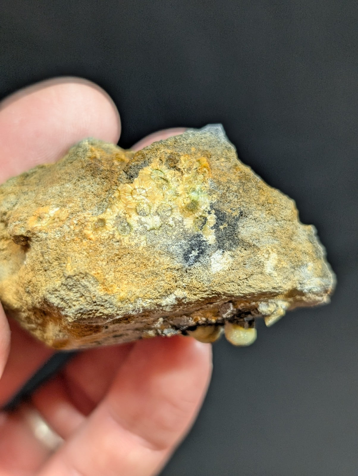 A rough, irregularly shaped rock with a mottled surface of yellowish-green and gray hues.