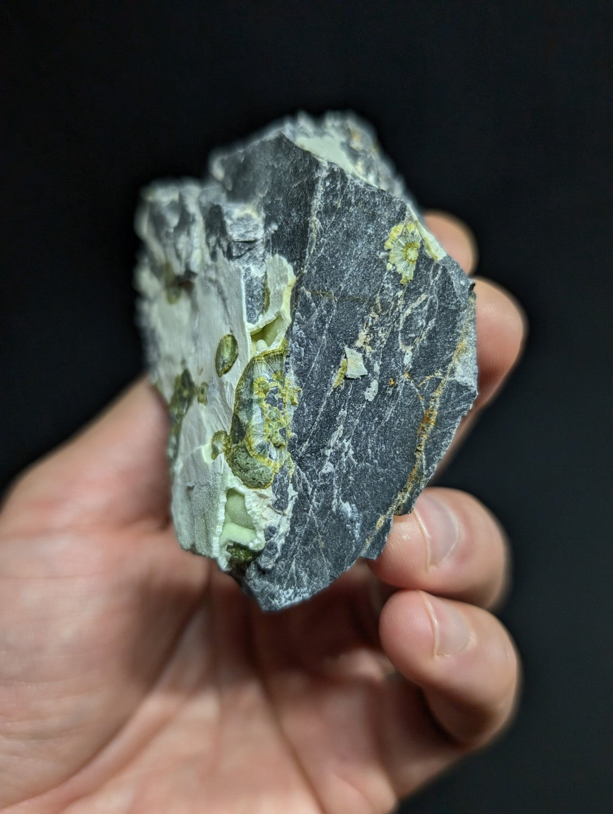 A hand holds a dark gray, rough-textured rock specimen with patches of vibrant green mineral veins running through its surface.