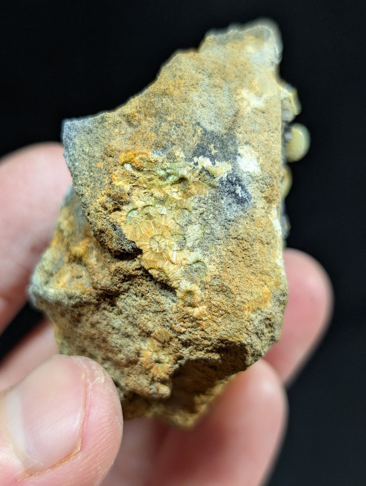 A rugged, irregularly shaped rock with a textured surface displaying patches of yellowish-brown and gray, featuring subtle greenish mineral veining.