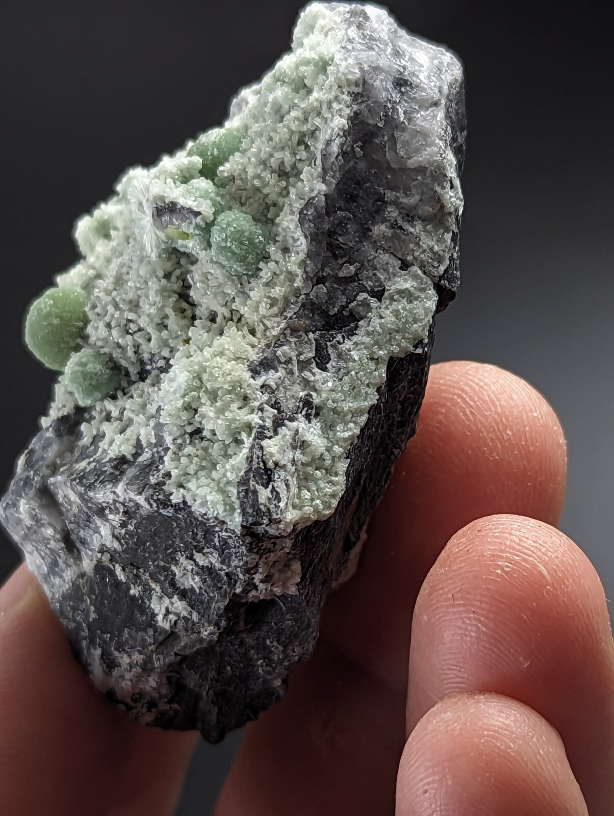 A hand holds a dark, rough-textured rock specimen featuring clusters of light green, rounded mineral formations.