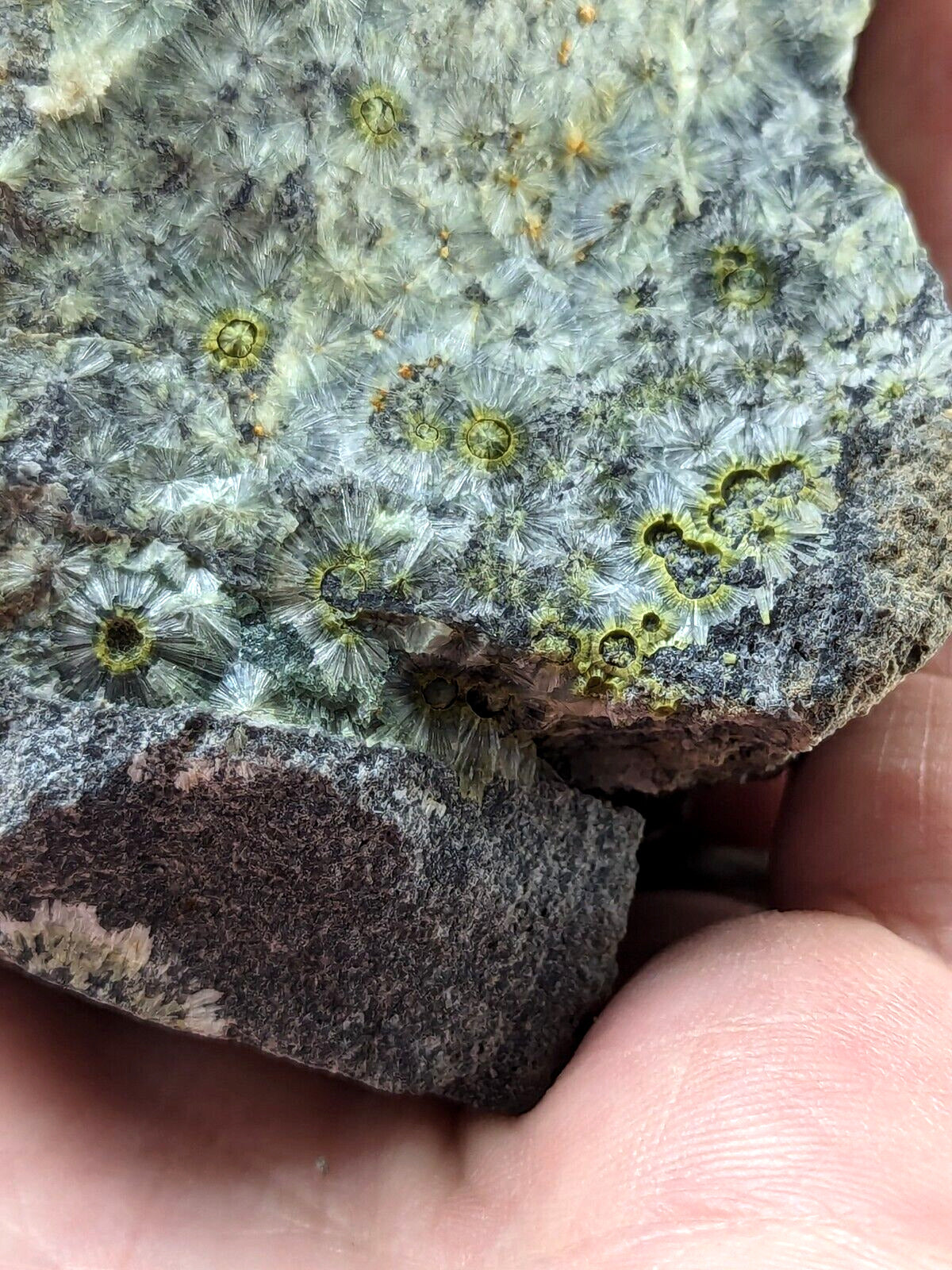 UV Reactive Wavellite -Old Stock - Mauldin Mountain Arkansas Amazing Eye Forms - Collectibles:Rocks Fossils &