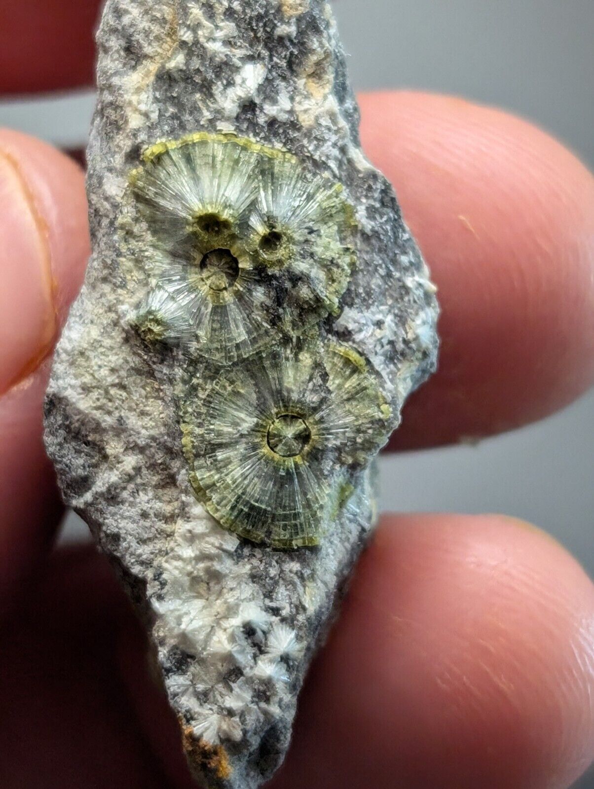 UV Reactive Wavellite -Old Stock - Mauldin Mountain Arkansas Amazing Eye Forms - Collectibles:Rocks Fossils &