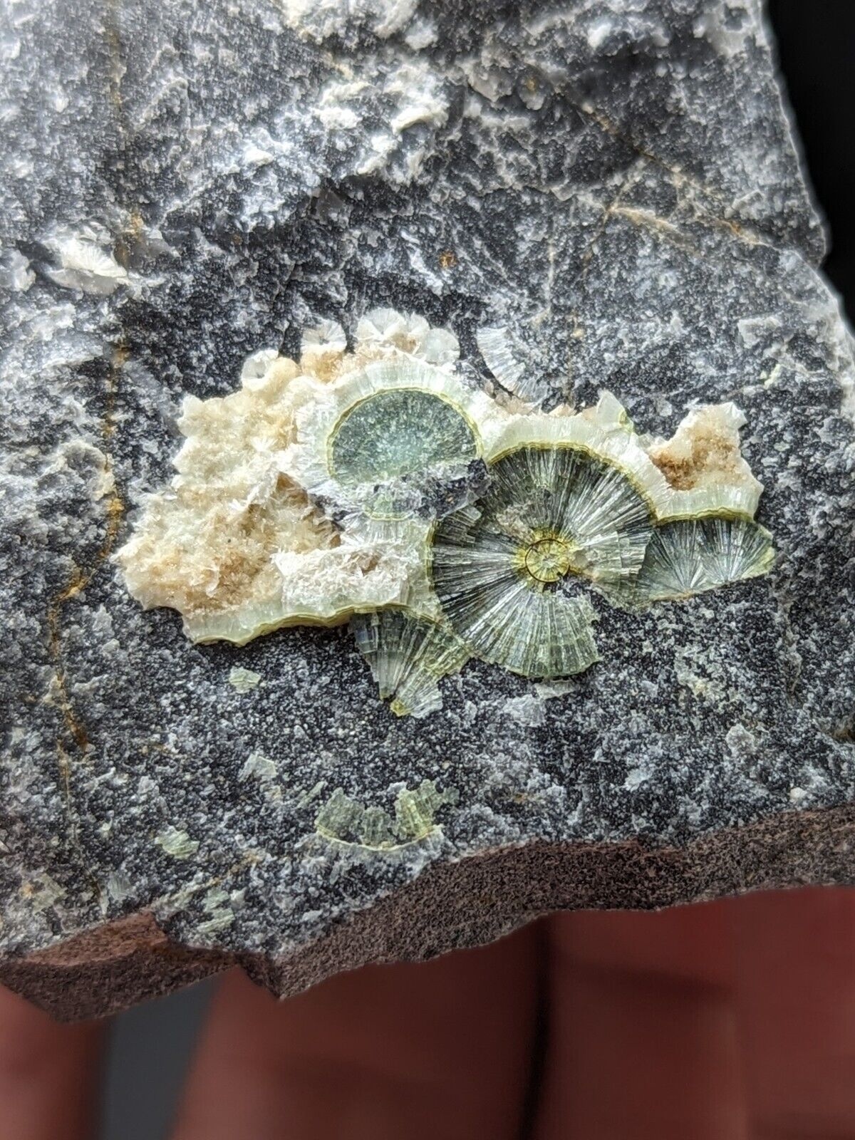 UV Reactive Wavellite -Old Stock - Mauldin Mountain Arkansas Amazing Eye Forms - Collectibles:Rocks Fossils &