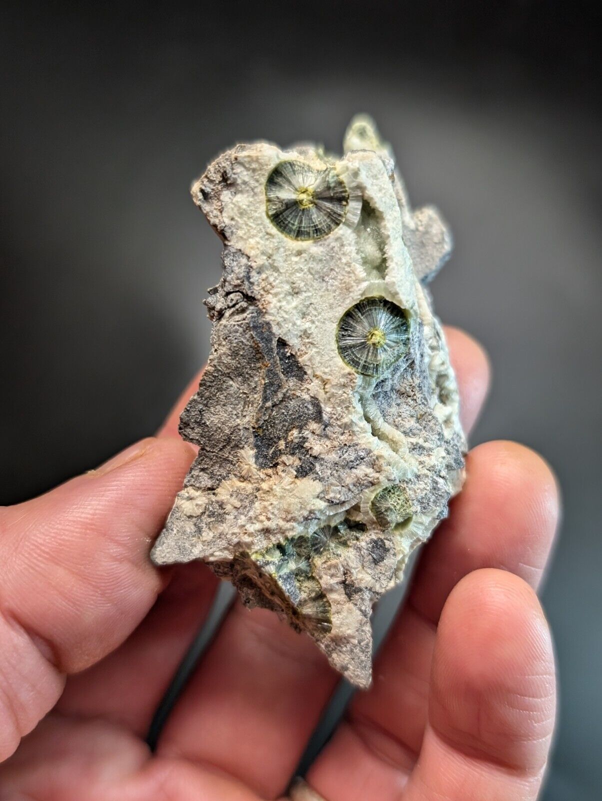 UV Reactive Wavellite -Old Stock - Mauldin Mountain Arkansas Amazing Eye Forms - Collectibles:Rocks Fossils &