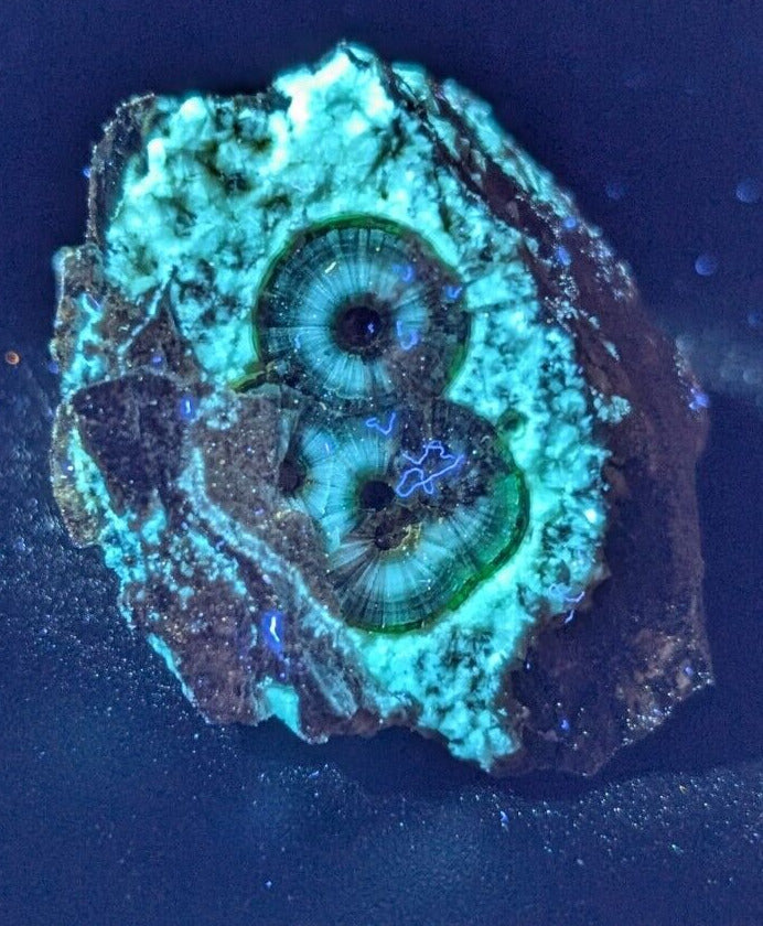 UV Reactive Wavellite -Old Stock - Mauldin Mountain Arkansas Amazing Eye Forms - Collectibles:Rocks Fossils &