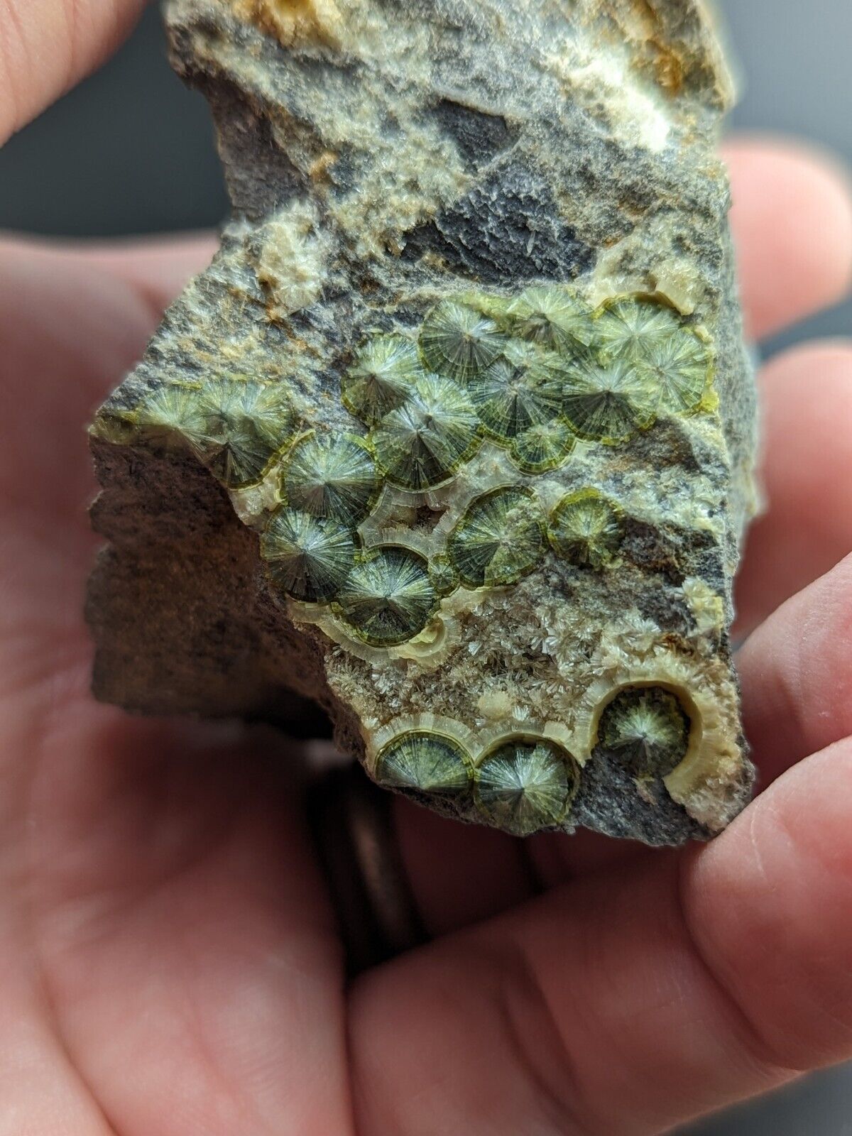 UV Reactive Wavellite -Old Stock - Mauldin Mountain Arkansas Amazing Eye Forms - Collectibles:Rocks Fossils &
