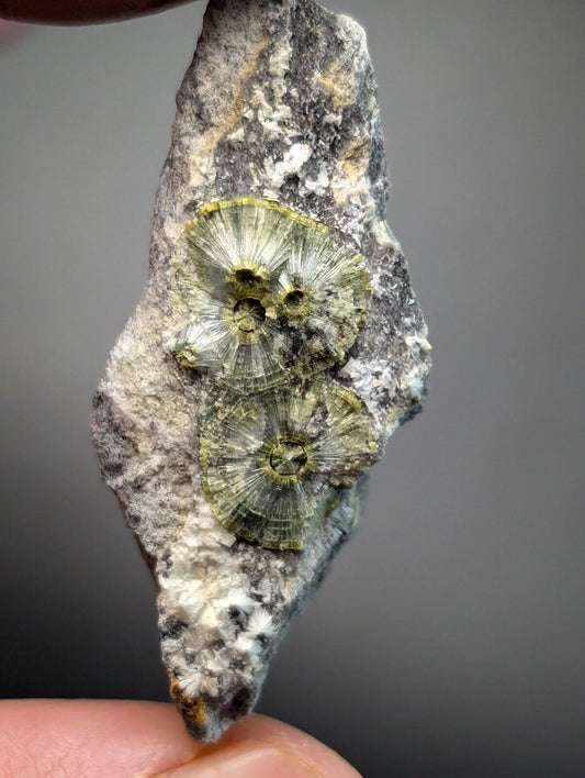 UV Reactive Wavellite -Old Stock - Mauldin Mountain Arkansas Amazing Eye Forms - Collectibles:Rocks Fossils &
