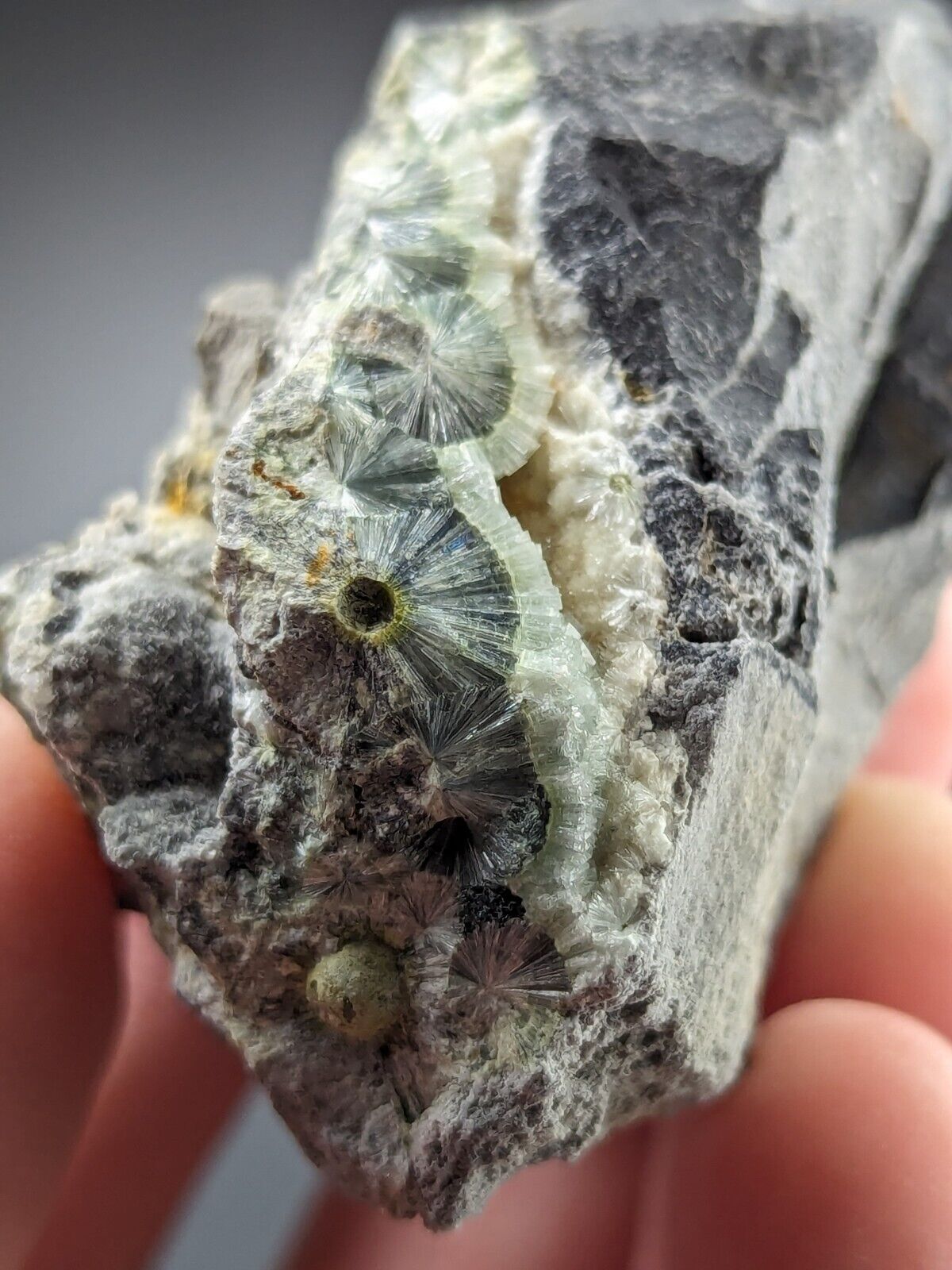 UV Reactive Wavellite -Old Stock - Mauldin Mountain Arkansas Amazing Eye Forms - Collectibles:Rocks Fossils &