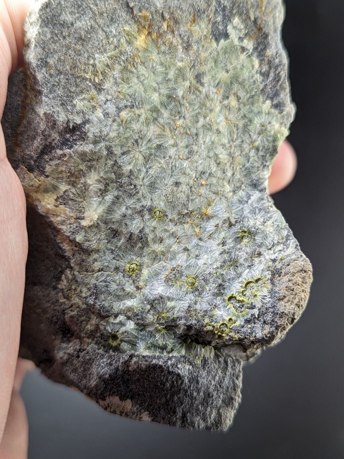 UV Reactive Wavellite -Old Stock - Mauldin Mountain Arkansas Amazing Eye Forms - Collectibles:Rocks Fossils &