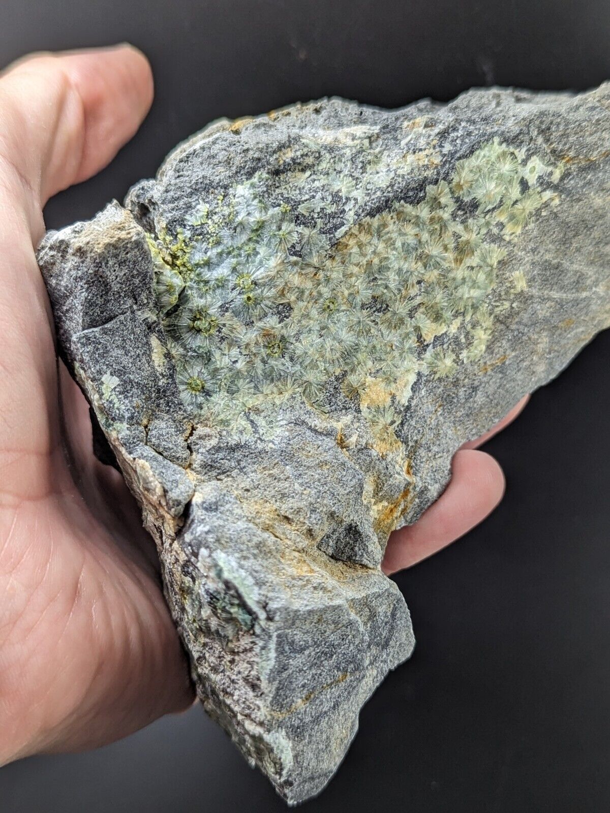 UV Reactive Wavellite -Old Stock - Mauldin Mountain Arkansas Amazing Eye Forms - Collectibles:Rocks Fossils &