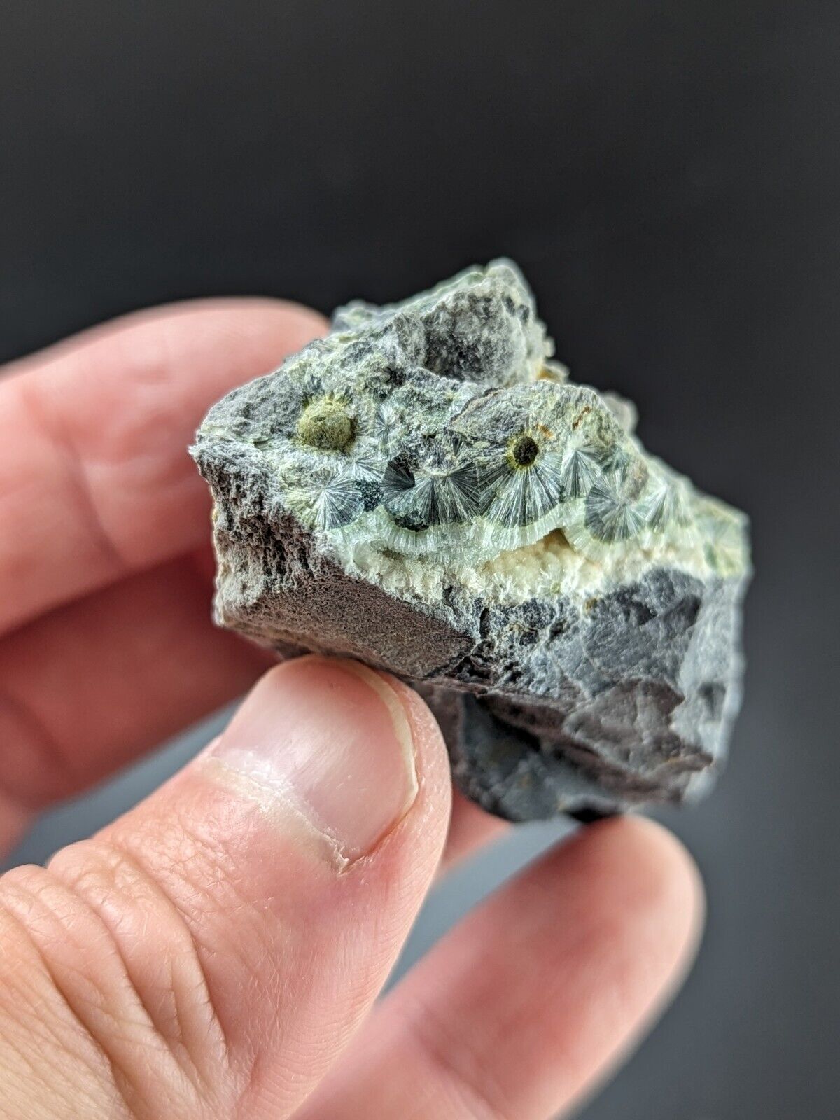 UV Reactive Wavellite -Old Stock - Mauldin Mountain Arkansas Amazing Eye Forms - Collectibles:Rocks Fossils &