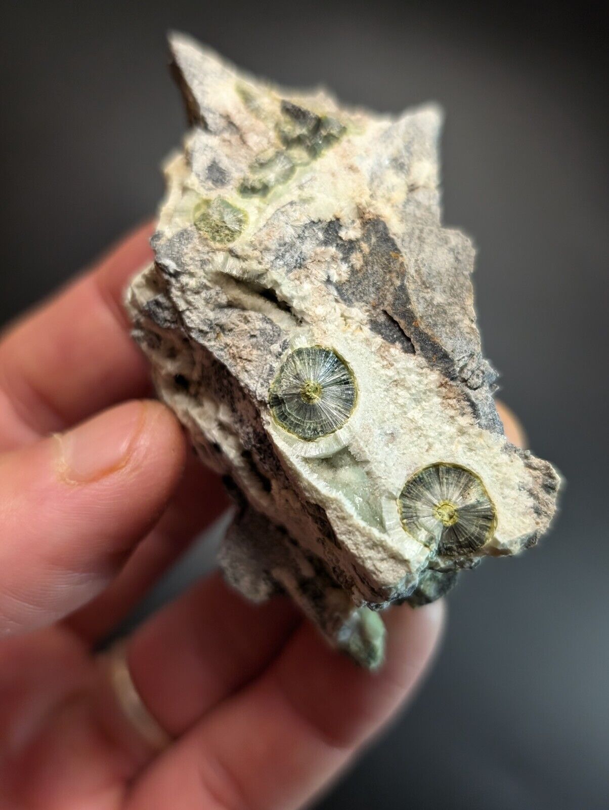 UV Reactive Wavellite -Old Stock - Mauldin Mountain Arkansas Amazing Eye Forms - Collectibles:Rocks Fossils &