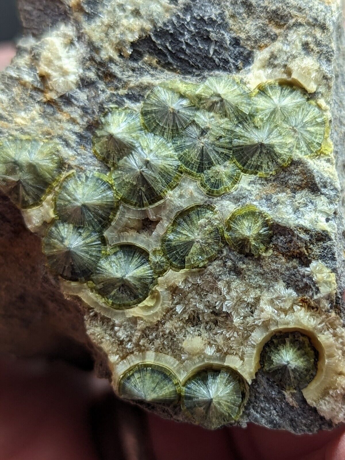 UV Reactive Wavellite -Old Stock - Mauldin Mountain Arkansas Amazing Eye Forms - Collectibles:Rocks Fossils &