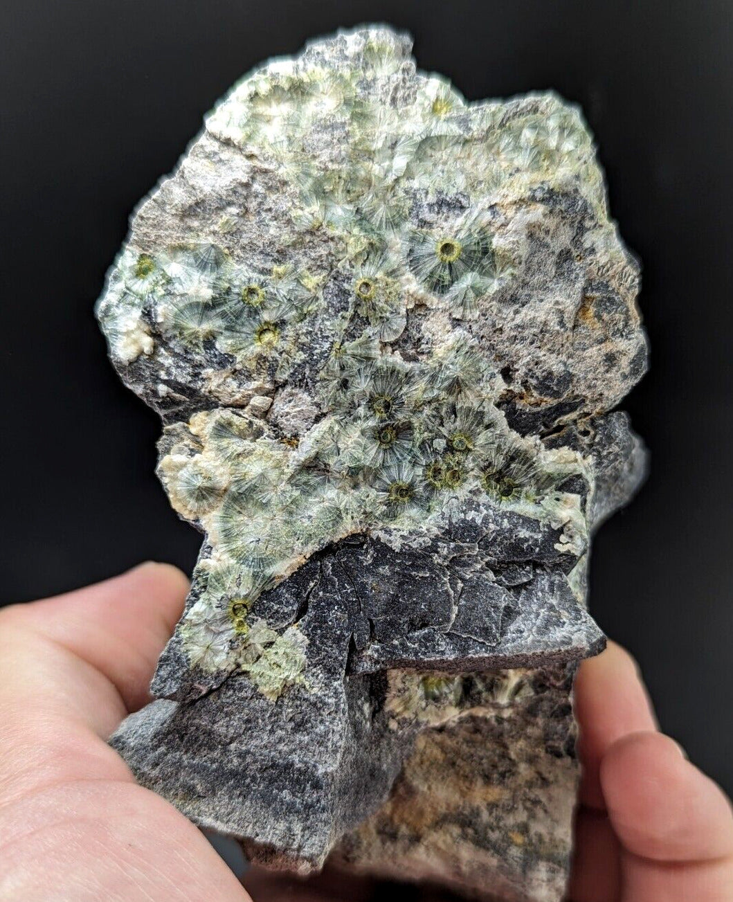 UV Reactive Wavellite -Old Stock - Mauldin Mountain Arkansas Amazing Eye Forms - Collectibles:Rocks Fossils &