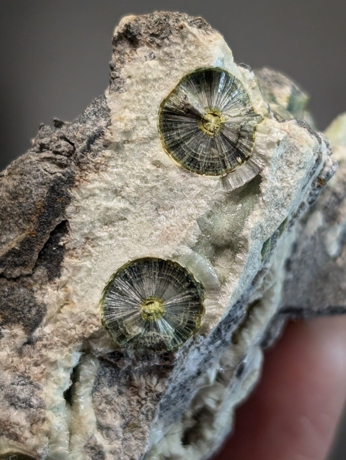 UV Reactive Wavellite -Old Stock - Mauldin Mountain Arkansas Amazing Eye Forms - Collectibles:Rocks Fossils &