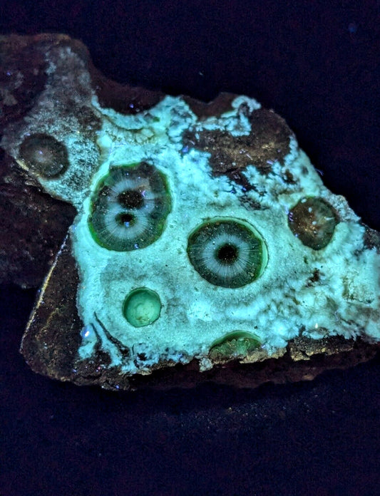 UV Reactive Wavellite -Old Stock - Mauldin Mountain Arkansas Amazing Eye Forms - Collectibles:Rocks Fossils &