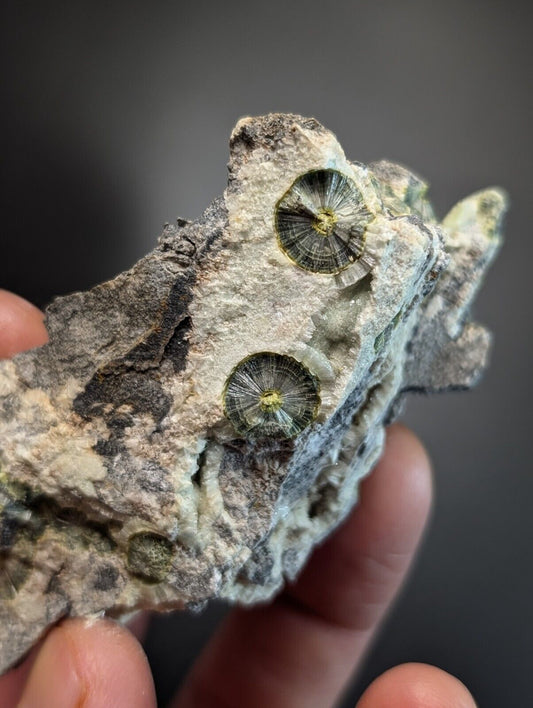 UV Reactive Wavellite -Old Stock - Mauldin Mountain Arkansas Amazing Eye Forms - Collectibles:Rocks Fossils &