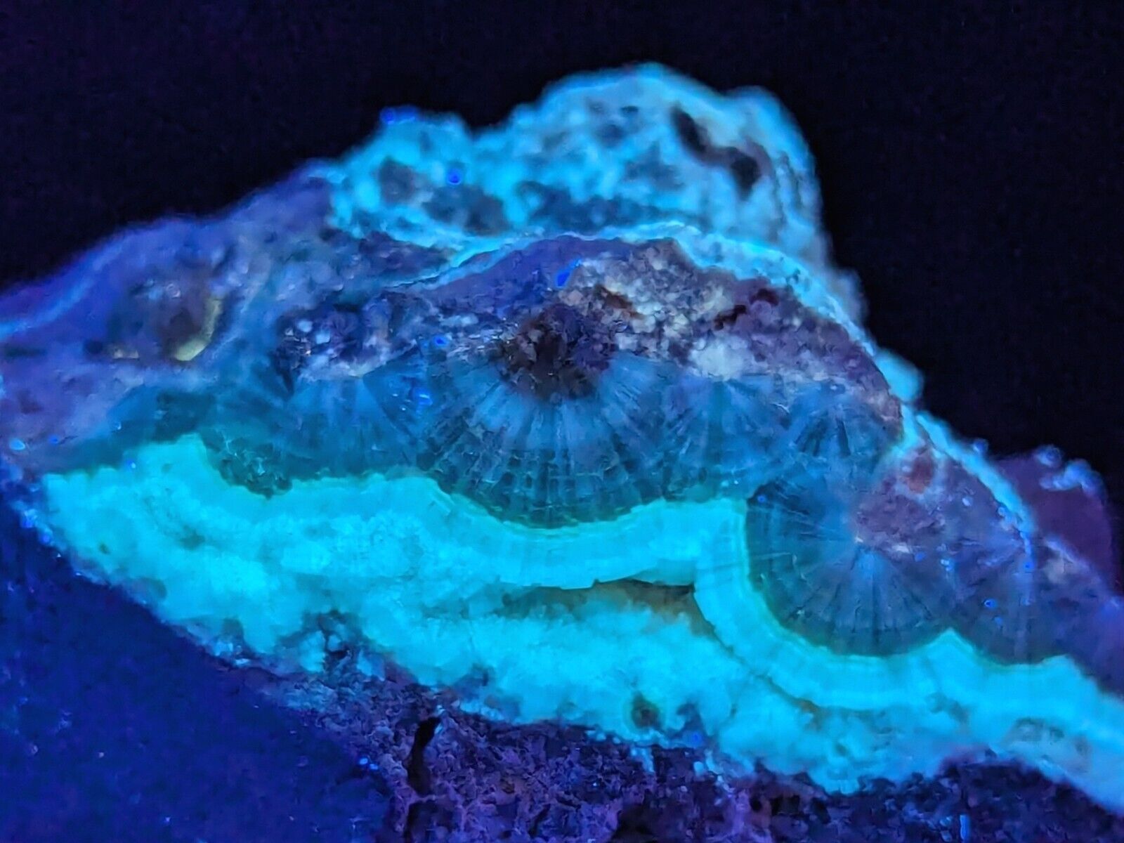 UV Reactive Wavellite -Old Stock - Mauldin Mountain Arkansas Amazing Eye Forms - Collectibles:Rocks Fossils &