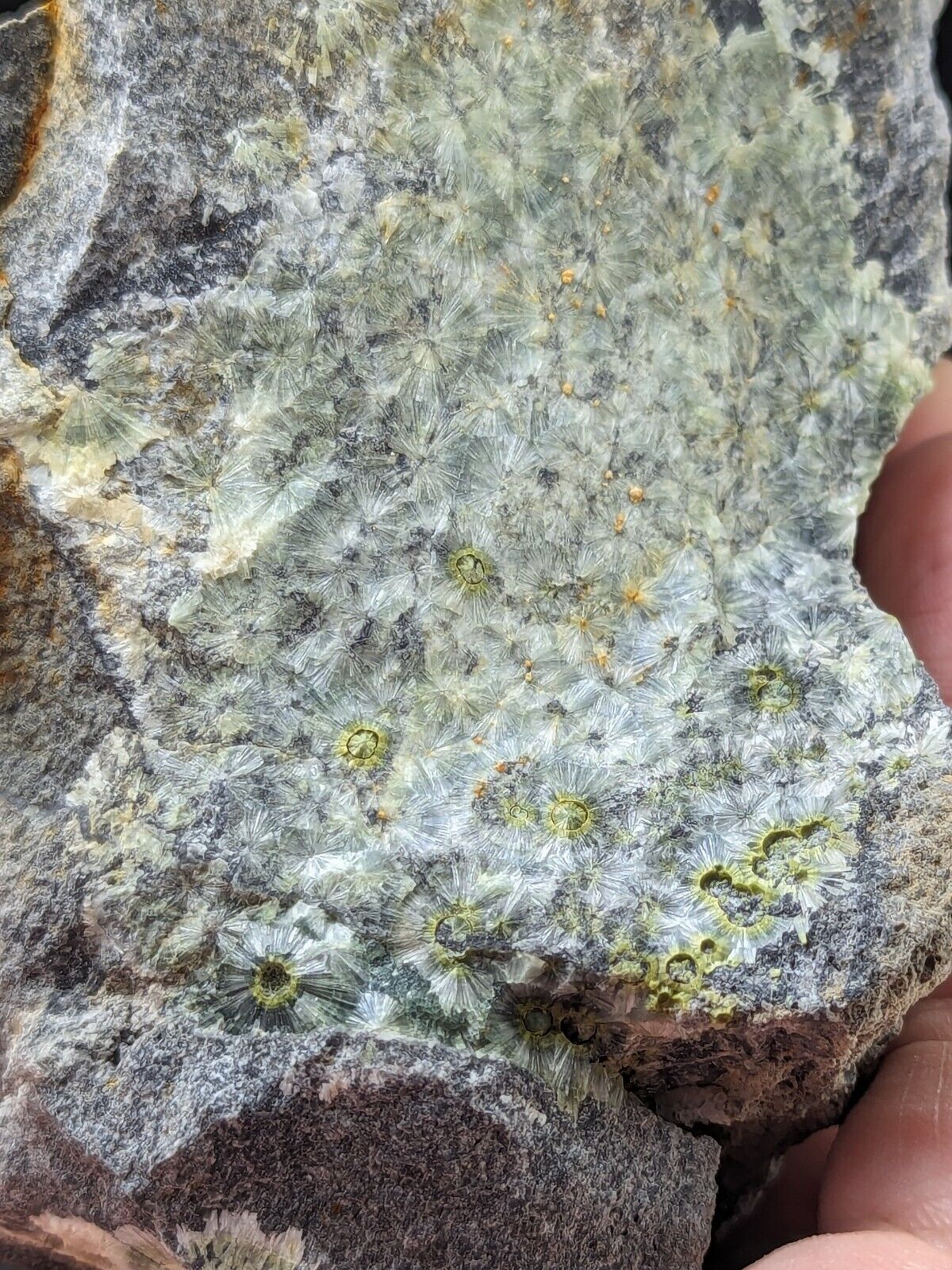 UV Reactive Wavellite -Old Stock - Mauldin Mountain Arkansas Amazing Eye Forms - Collectibles:Rocks Fossils &