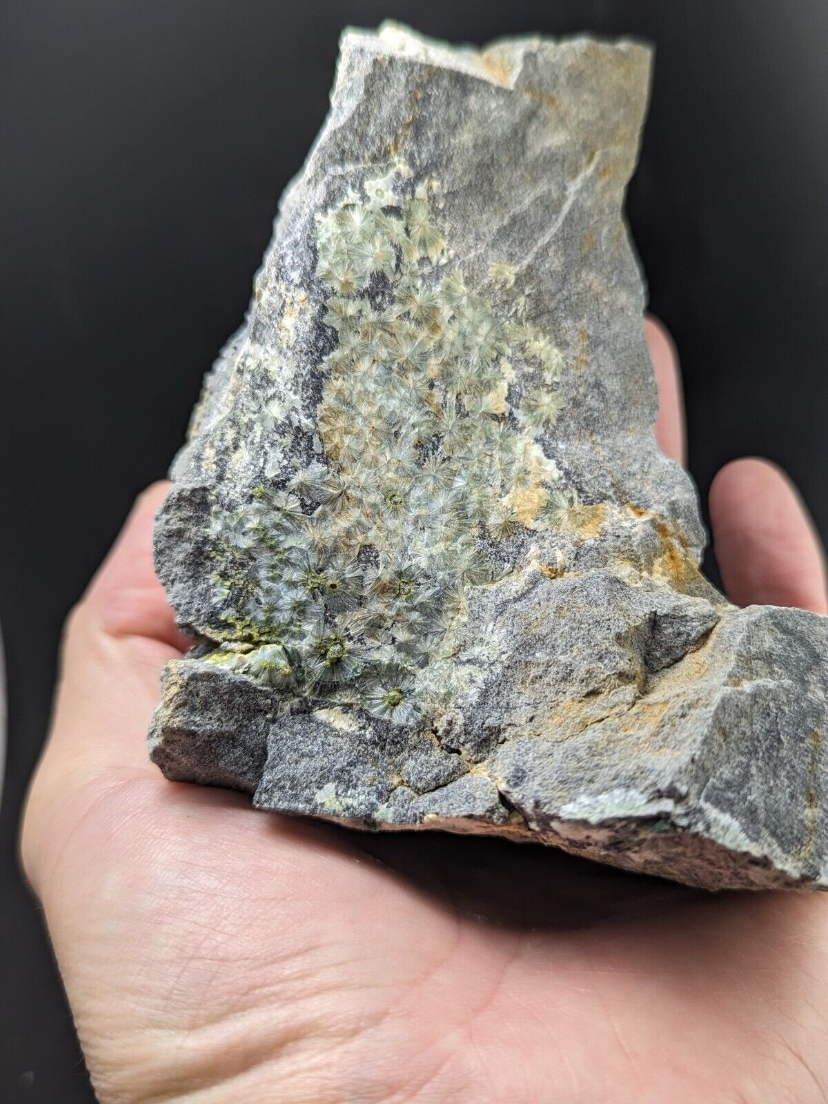 UV Reactive Wavellite -Old Stock - Mauldin Mountain Arkansas Amazing Eye Forms - Collectibles:Rocks Fossils &