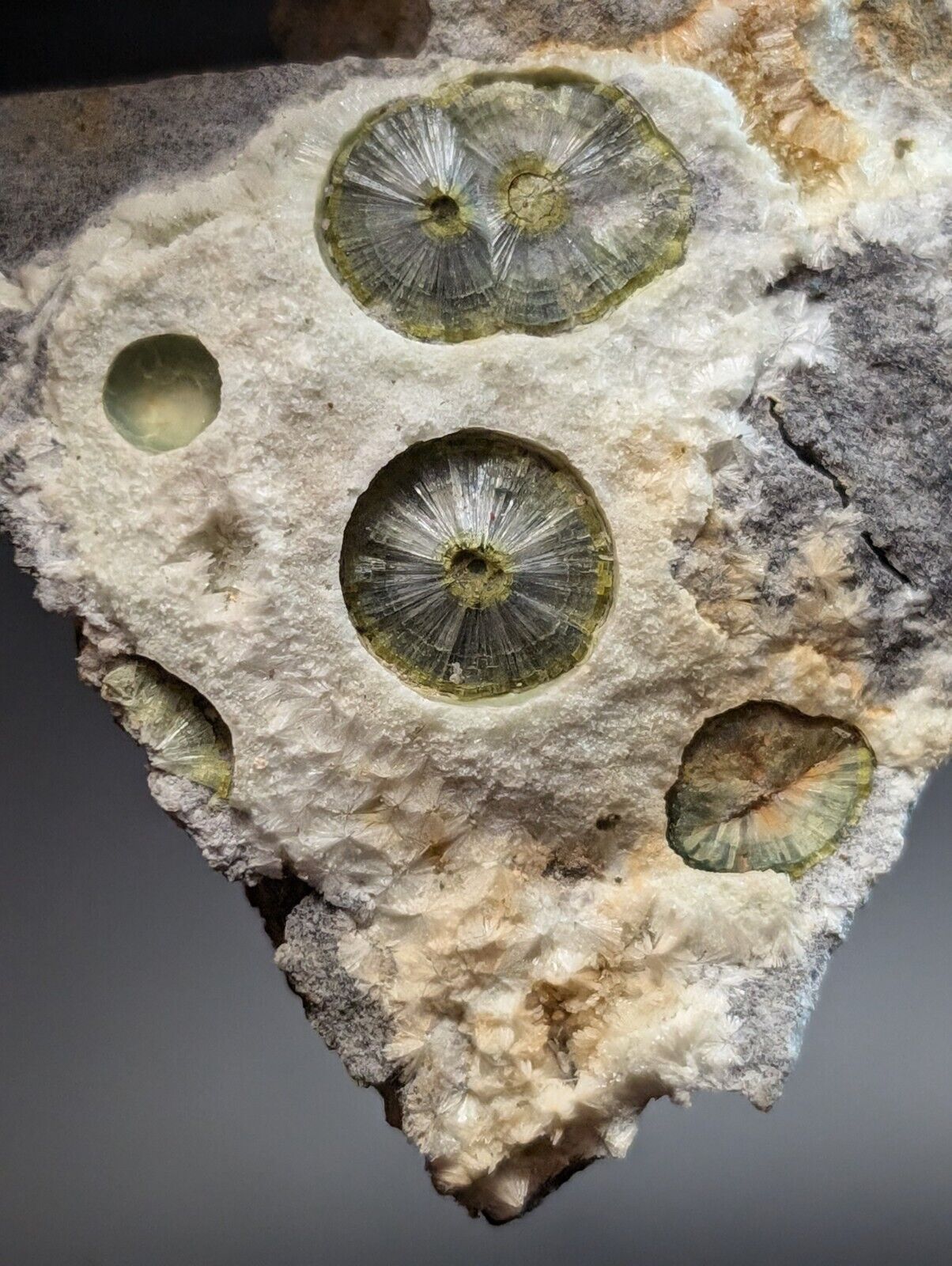 UV Reactive Wavellite -Old Stock - Mauldin Mountain Arkansas Amazing Eye Forms - Collectibles:Rocks Fossils &