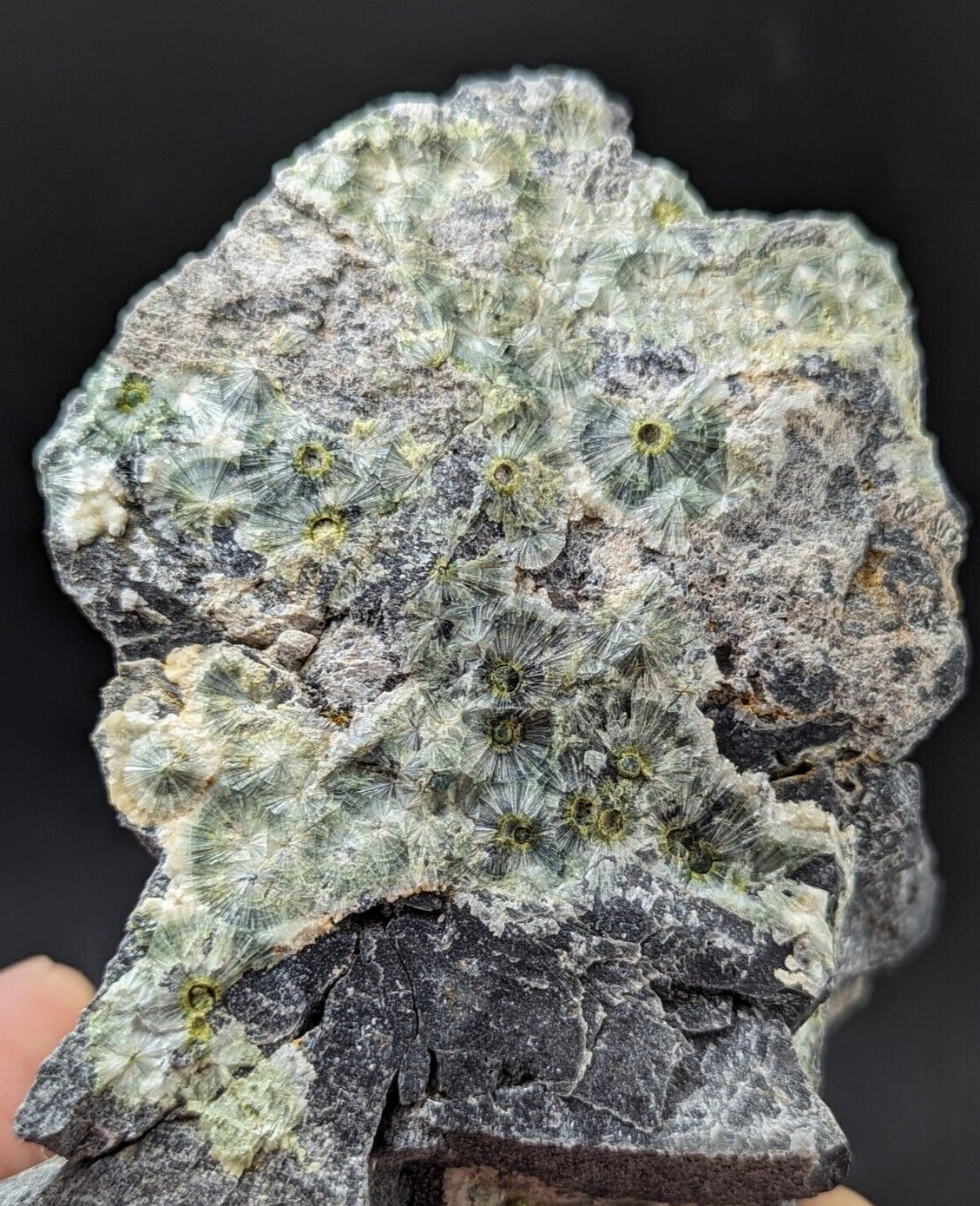 UV Reactive Wavellite -Old Stock - Mauldin Mountain Arkansas Amazing Eye Forms - Collectibles:Rocks Fossils &
