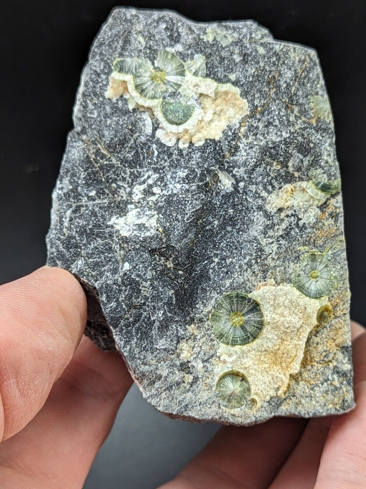 UV Reactive Wavellite -Old Stock - Mauldin Mountain Arkansas Amazing Eye Forms - Collectibles:Rocks Fossils &