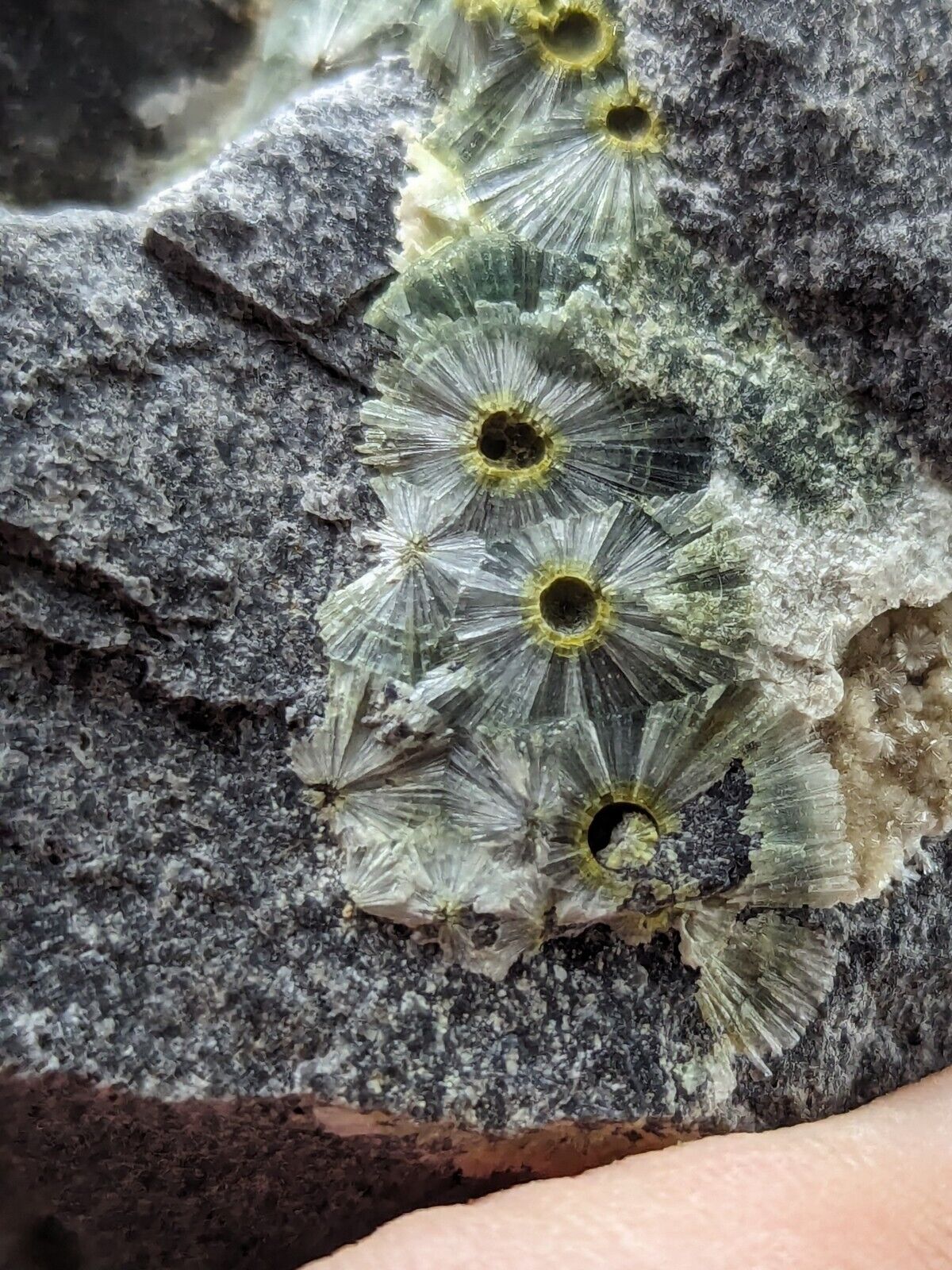 UV Reactive Wavellite -Old Stock - Mauldin Mountain Arkansas Amazing Eye Forms - Collectibles:Rocks Fossils &