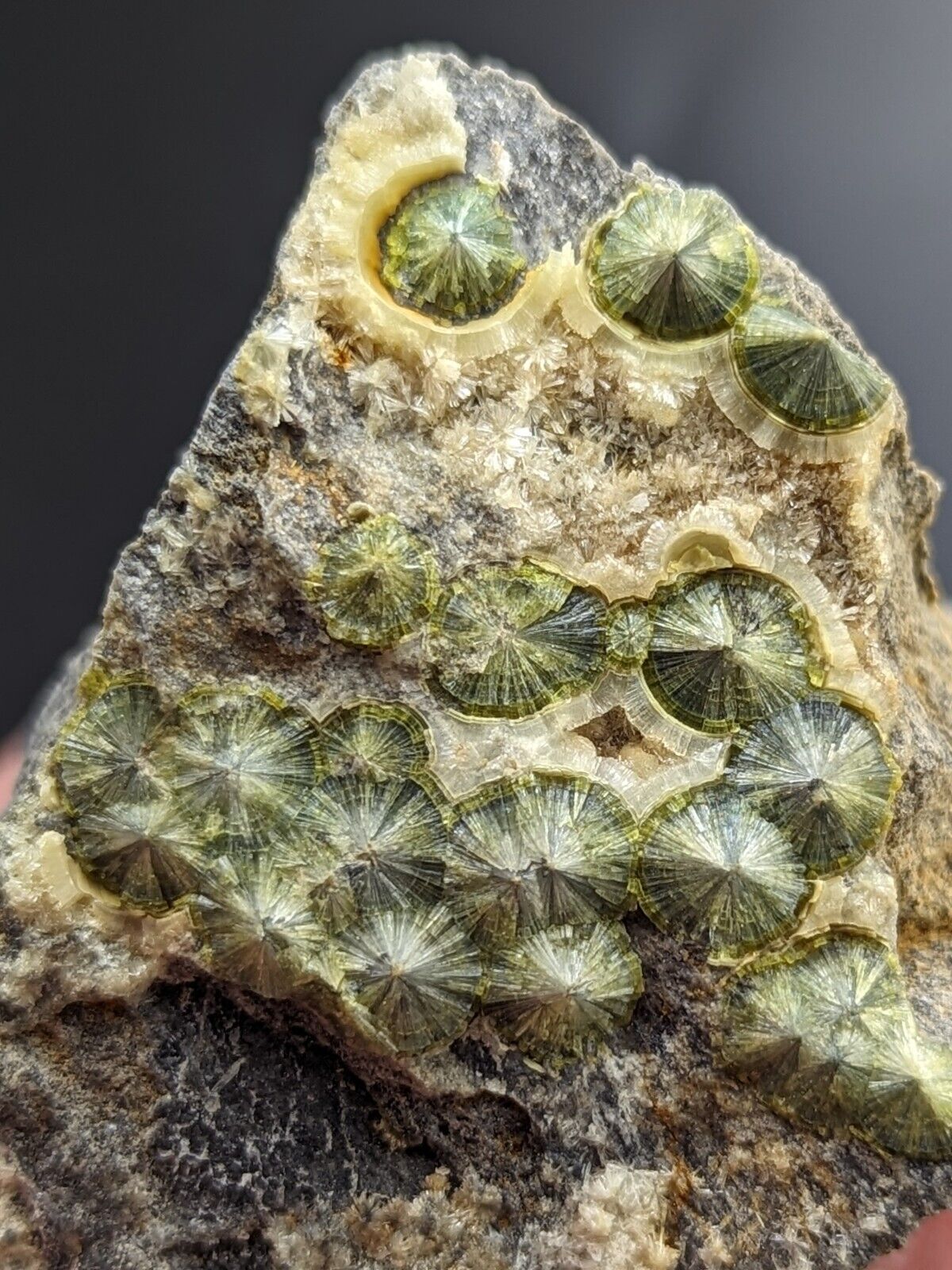 UV Reactive Wavellite -Old Stock - Mauldin Mountain Arkansas Amazing Eye Forms - Collectibles:Rocks Fossils &
