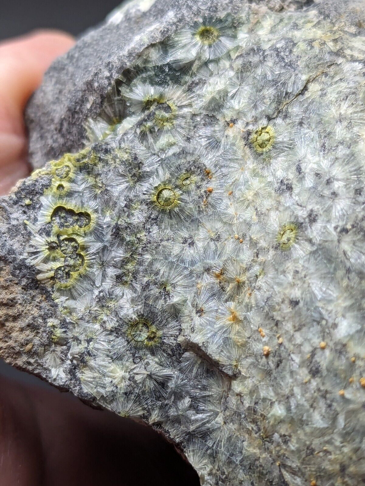 UV Reactive Wavellite -Old Stock - Mauldin Mountain Arkansas Amazing Eye Forms - Collectibles:Rocks Fossils &