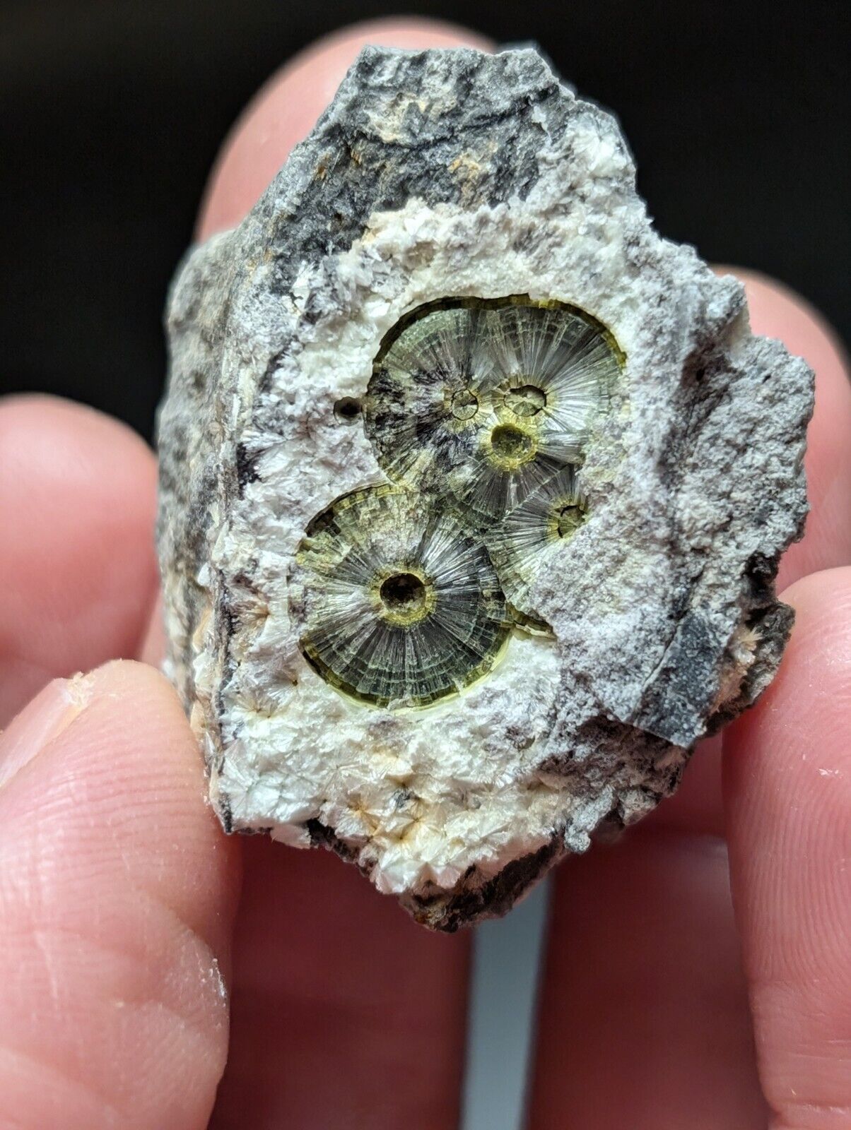 UV Reactive Wavellite -Old Stock - Mauldin Mountain Arkansas Amazing Eye Forms - Collectibles:Rocks Fossils &