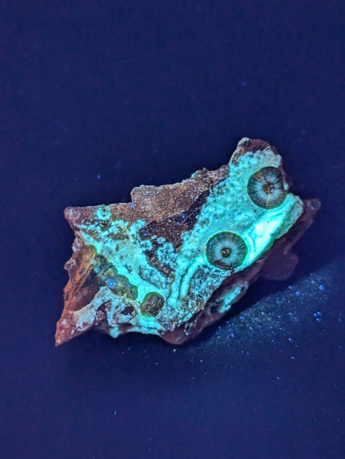 UV Reactive Wavellite -Old Stock - Mauldin Mountain Arkansas Amazing Eye Forms - Collectibles:Rocks Fossils &