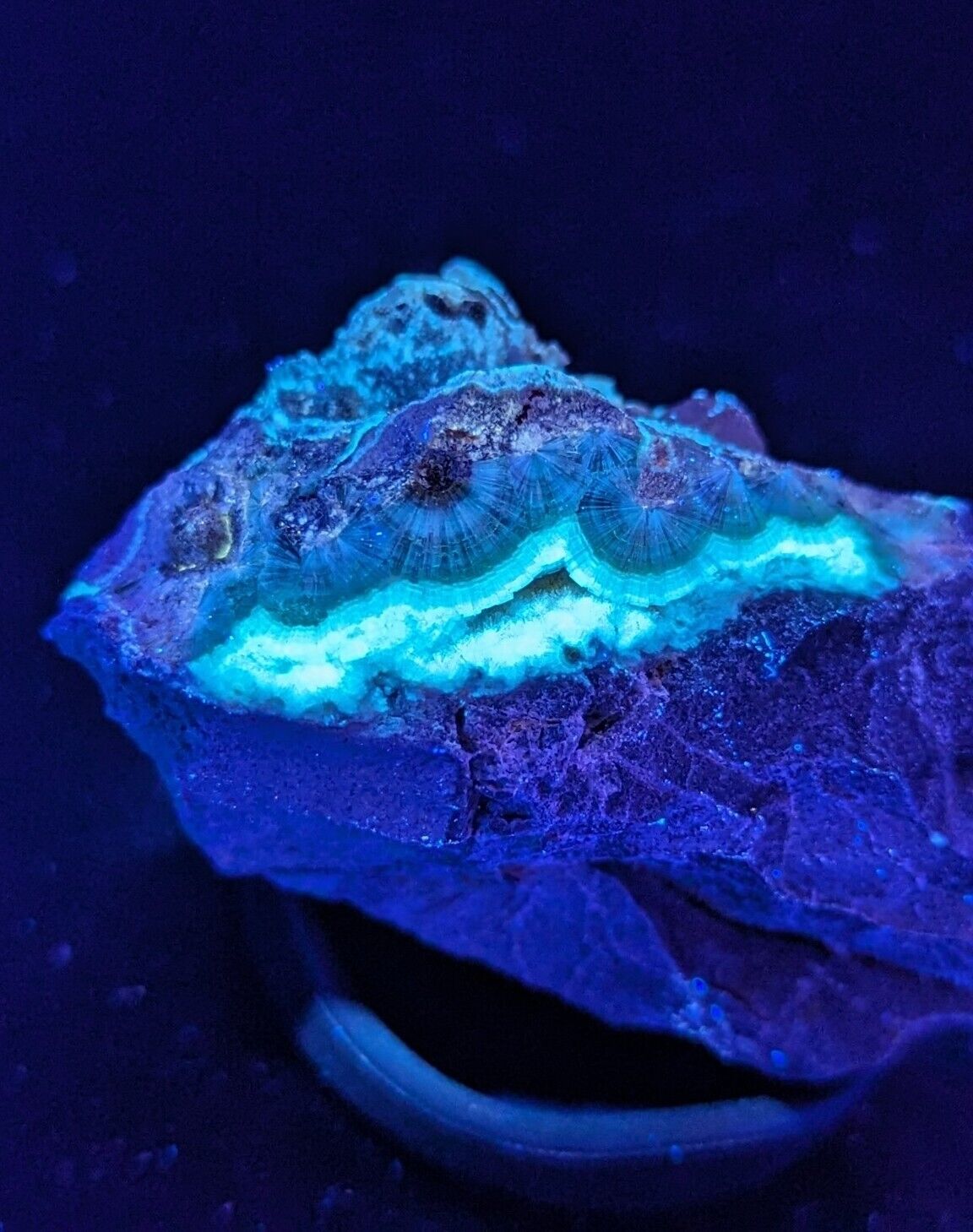 UV Reactive Wavellite -Old Stock - Mauldin Mountain Arkansas Amazing Eye Forms - Collectibles:Rocks Fossils &