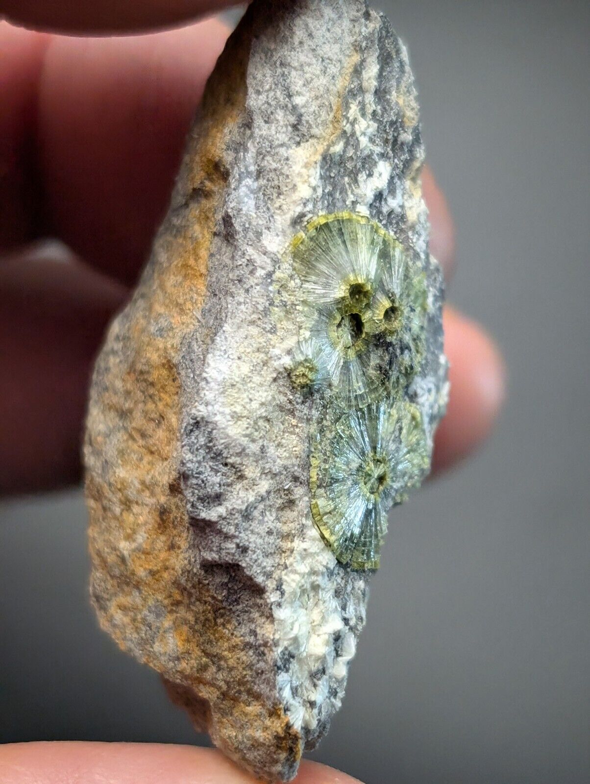 UV Reactive Wavellite -Old Stock - Mauldin Mountain Arkansas Amazing Eye Forms - Collectibles:Rocks Fossils &