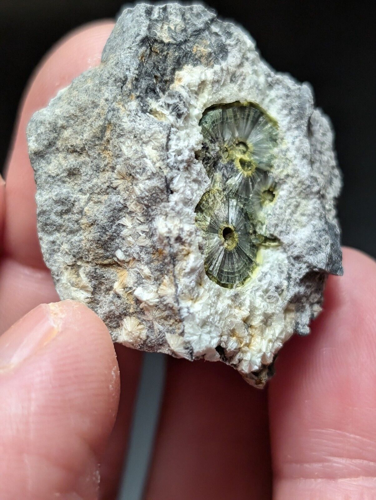 UV Reactive Wavellite -Old Stock - Mauldin Mountain Arkansas Amazing Eye Forms - Collectibles:Rocks Fossils &