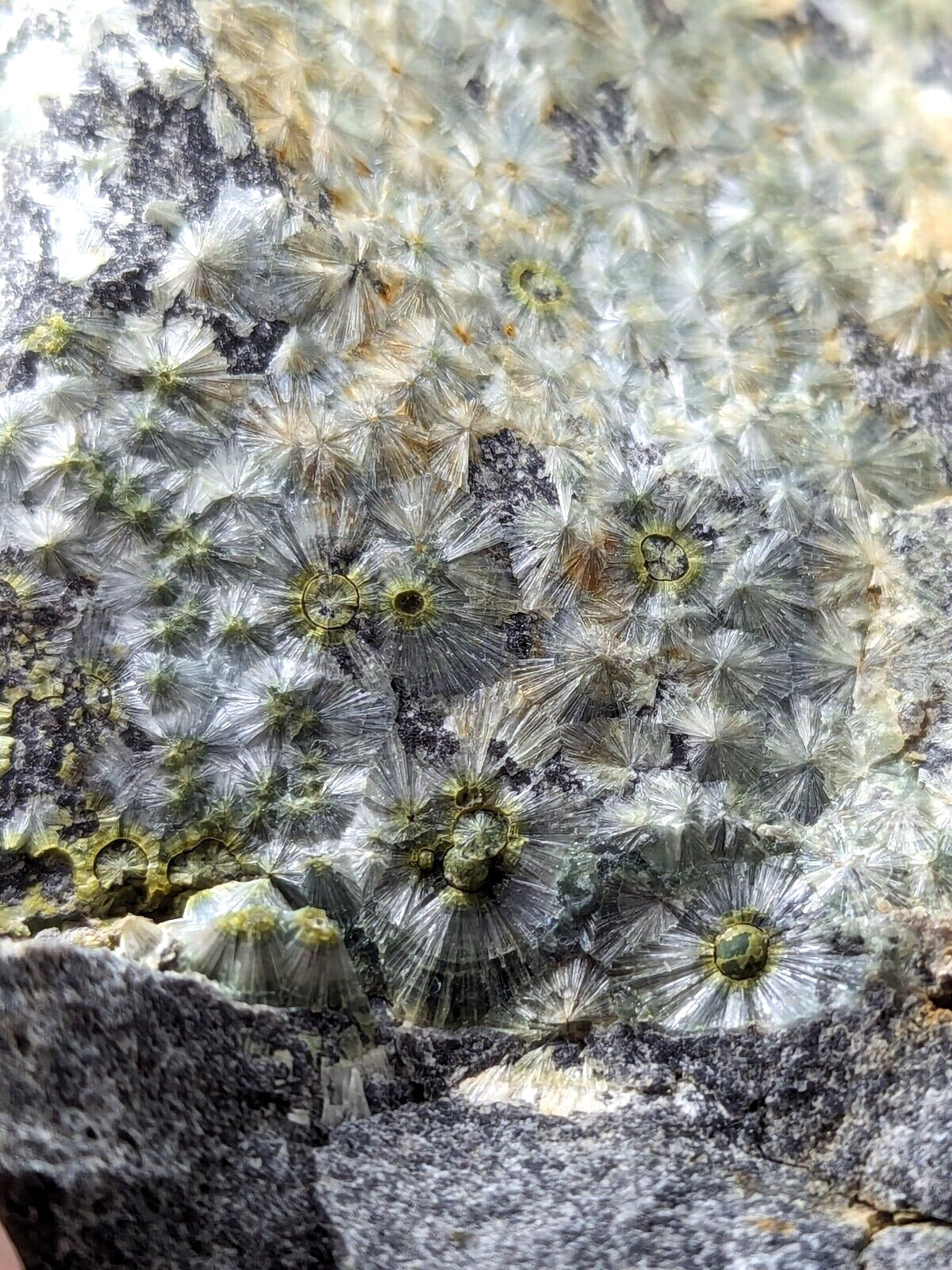 UV Reactive Wavellite -Old Stock - Mauldin Mountain Arkansas Amazing Eye Forms - Collectibles:Rocks Fossils &