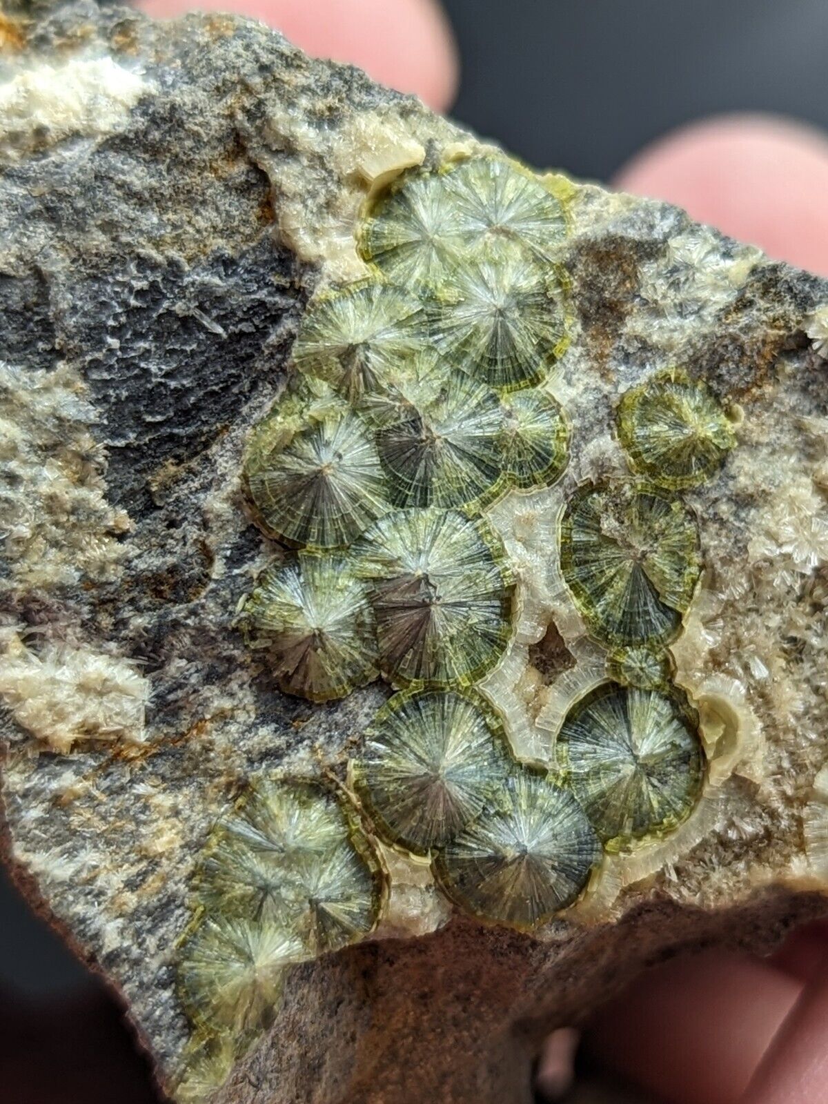 UV Reactive Wavellite -Old Stock - Mauldin Mountain Arkansas Amazing Eye Forms - Collectibles:Rocks Fossils &