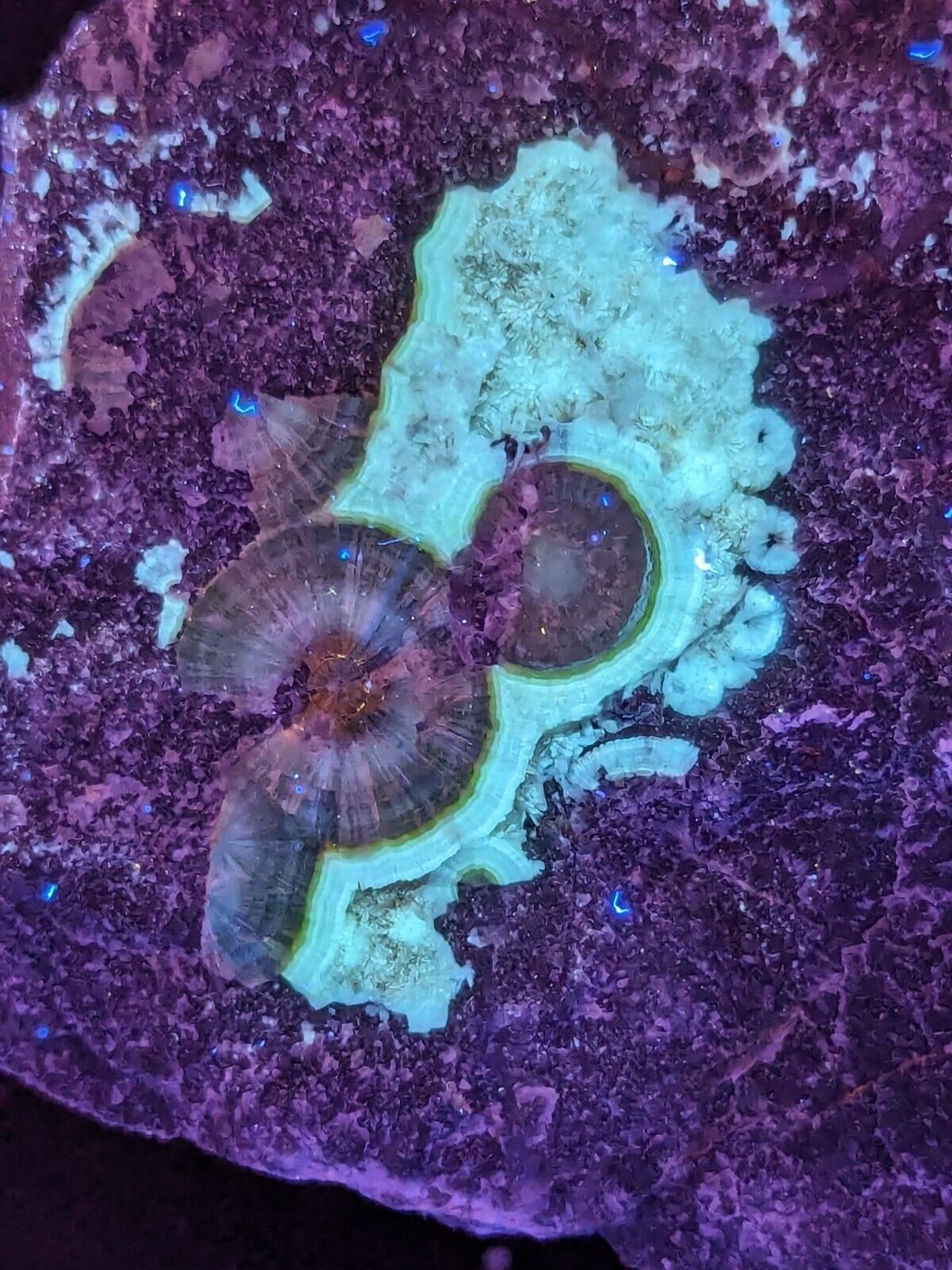 UV Reactive Wavellite -Old Stock - Mauldin Mountain Arkansas Amazing Eye Forms - Collectibles:Rocks Fossils &