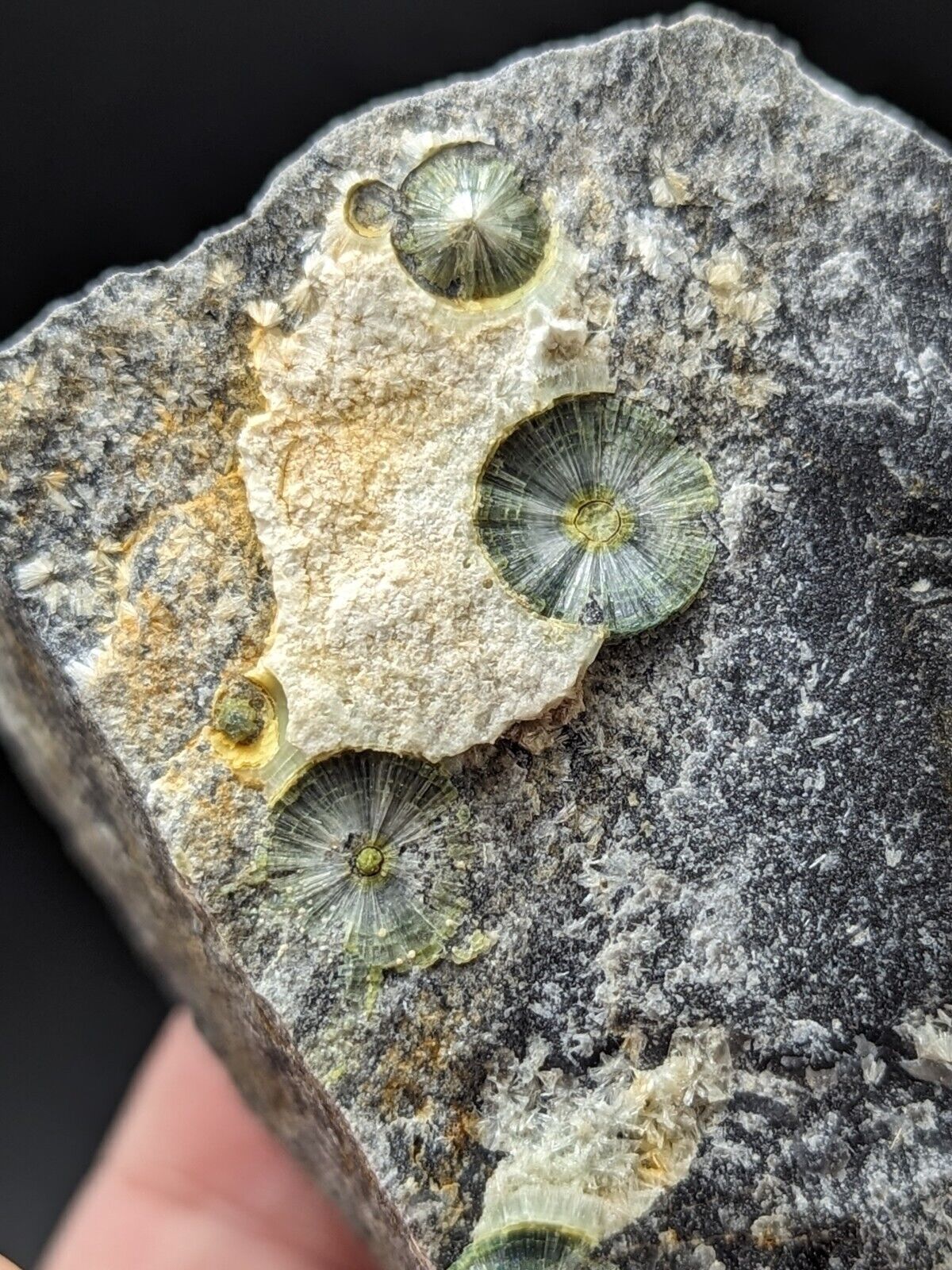 UV Reactive Wavellite -Old Stock - Mauldin Mountain Arkansas Amazing Eye Forms - Collectibles:Rocks Fossils &