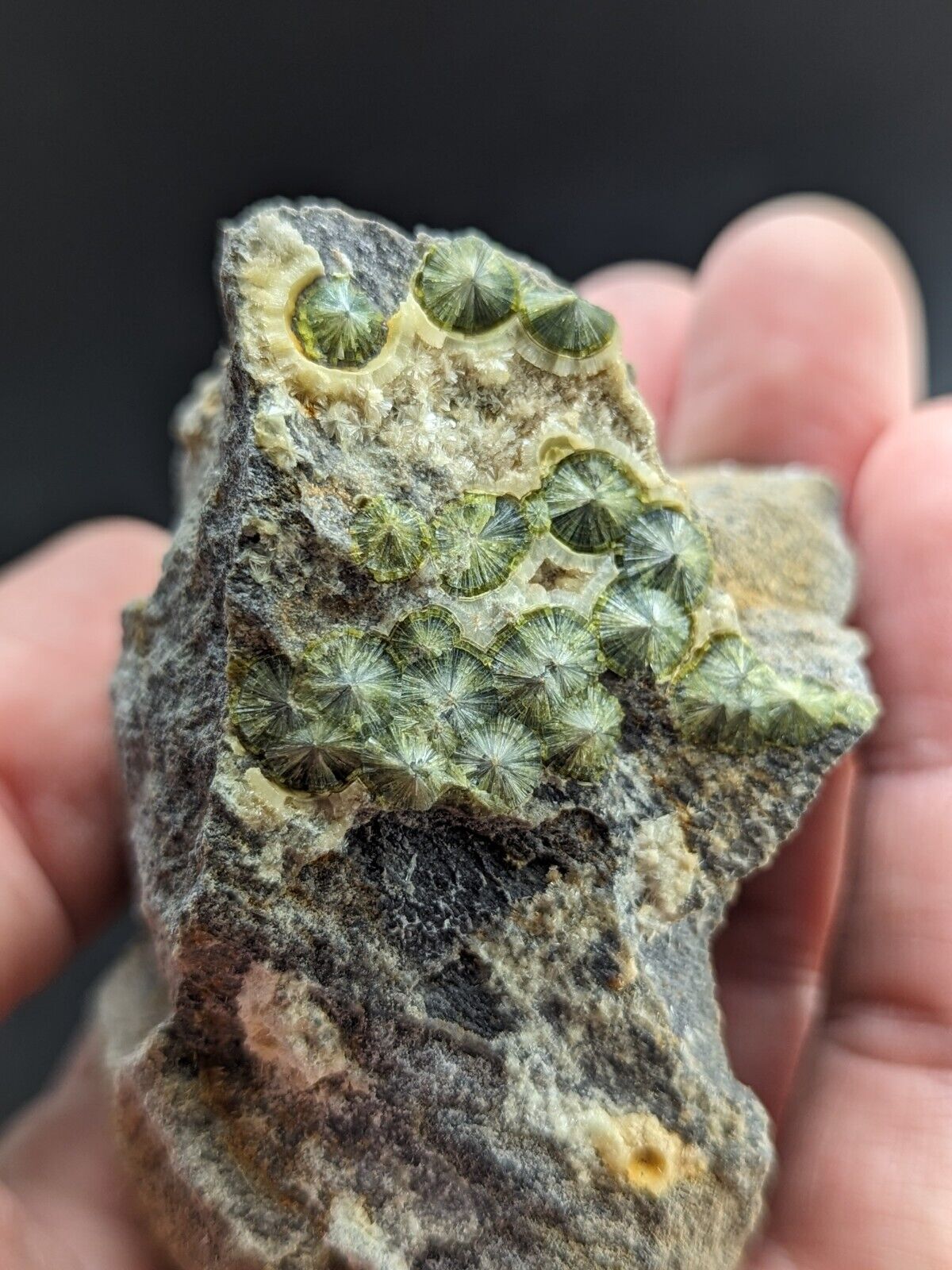 UV Reactive Wavellite -Old Stock - Mauldin Mountain Arkansas Amazing Eye Forms - Collectibles:Rocks Fossils &