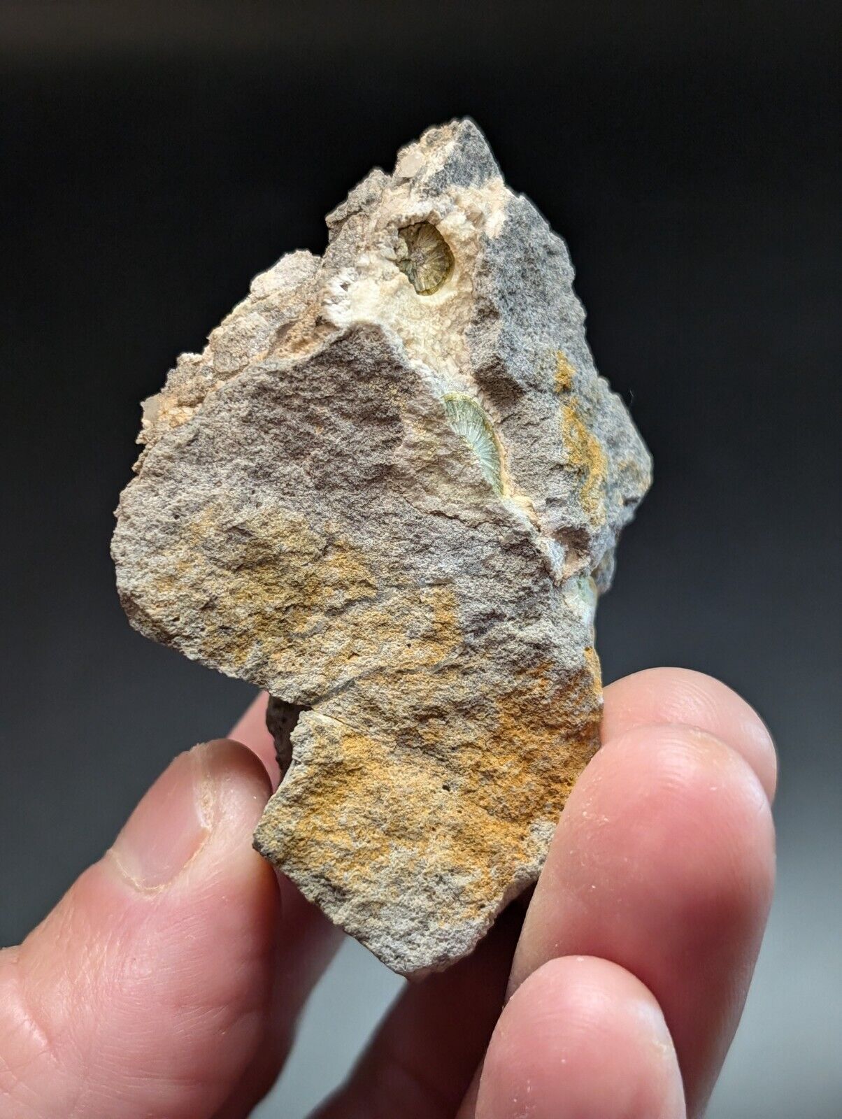 UV Reactive Wavellite -Old Stock - Mauldin Mountain Arkansas Amazing Eye Forms - Collectibles:Rocks Fossils &