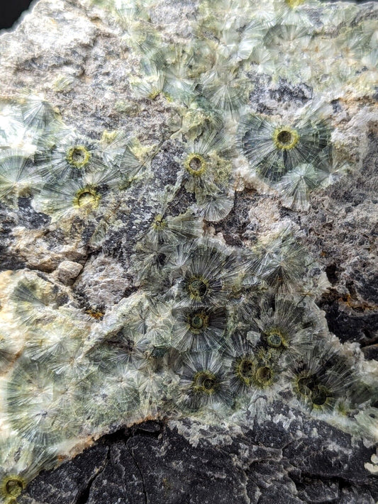 UV Reactive Wavellite -Old Stock - Mauldin Mountain Arkansas Amazing Eye Forms - Collectibles:Rocks Fossils &